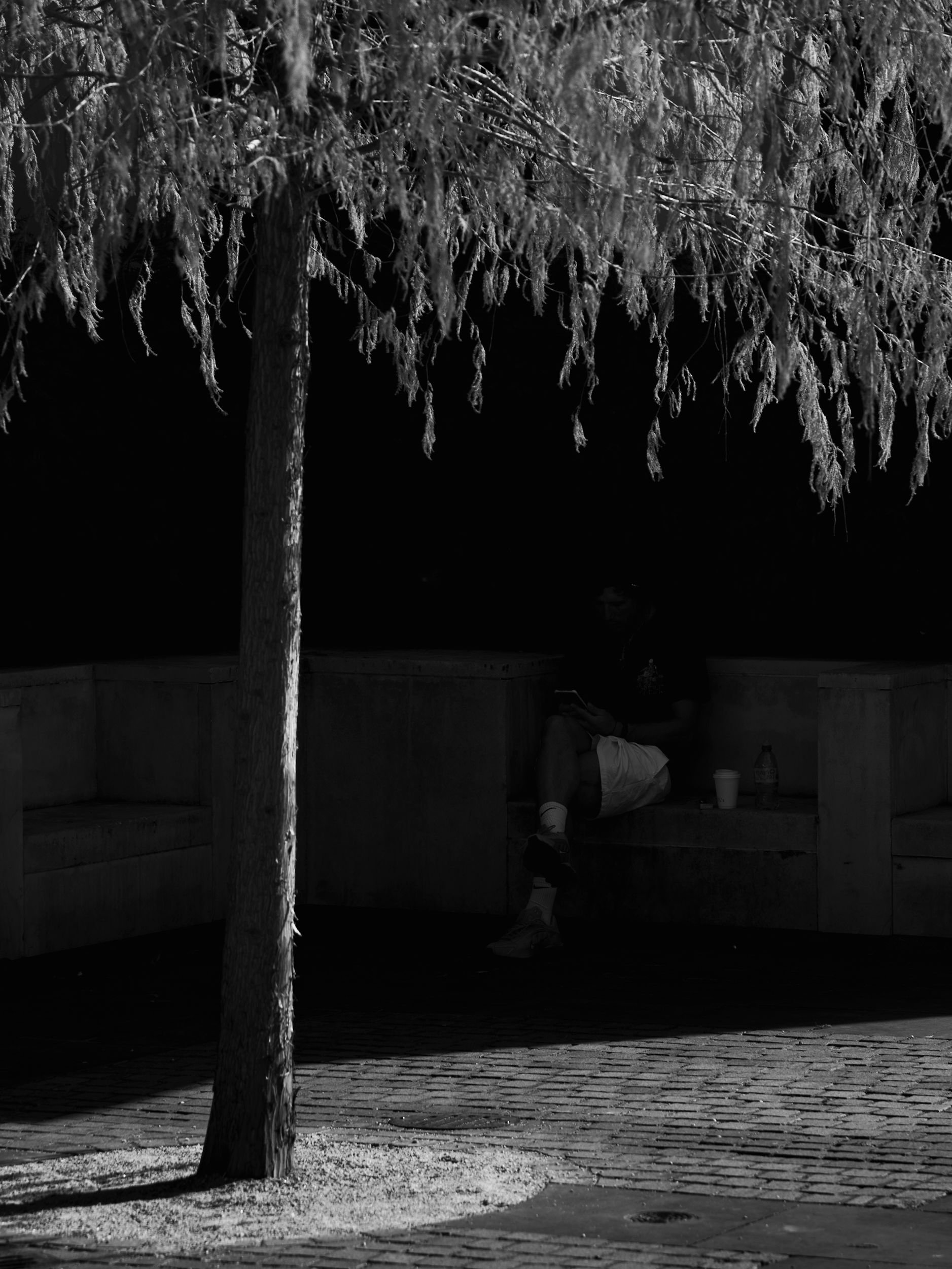 DSC00742.jpeg