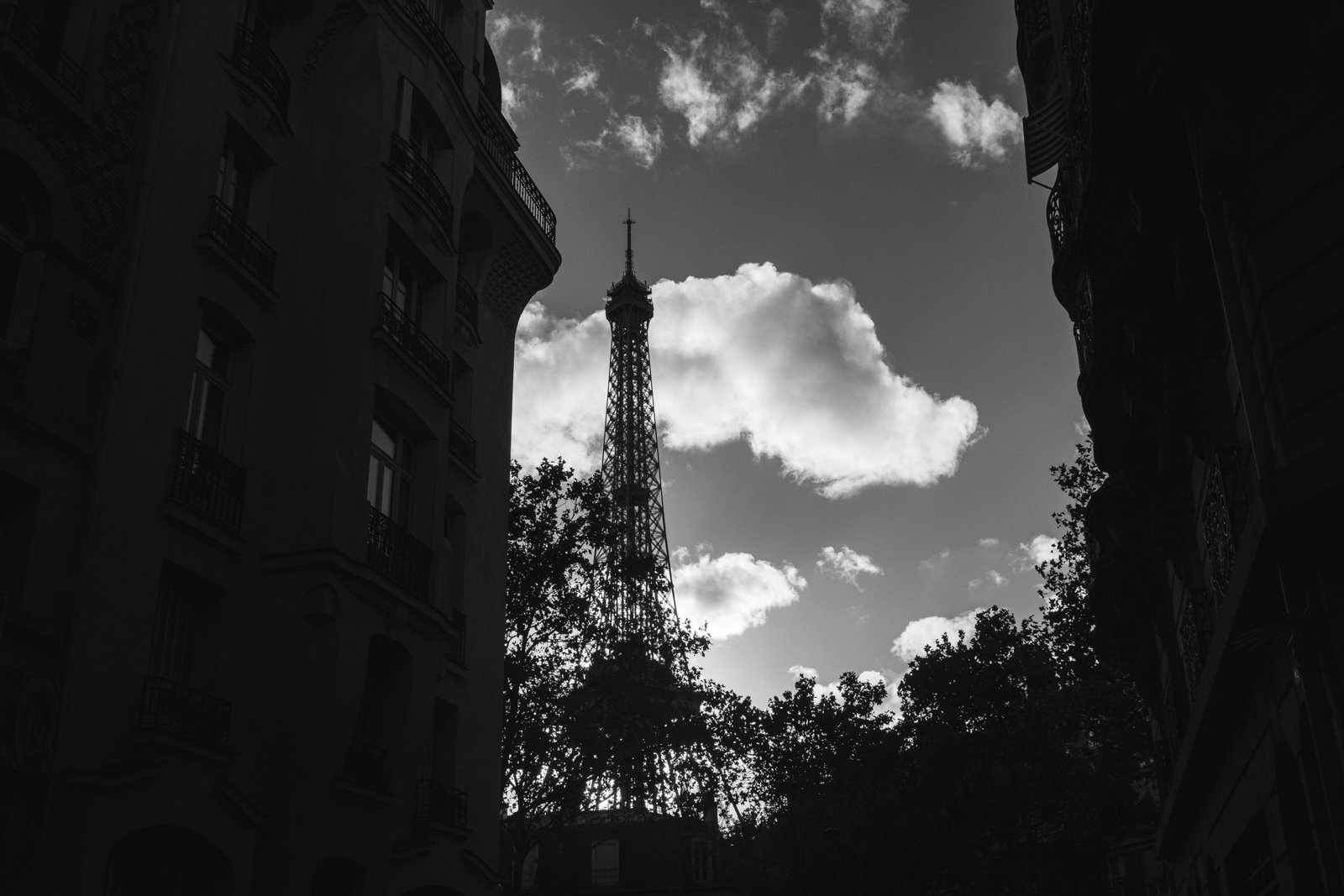 RX106558.jpg