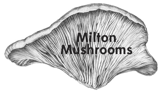 Milton Mushrooms