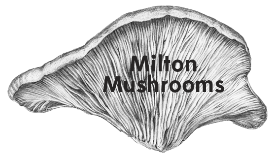 Milton Mushrooms