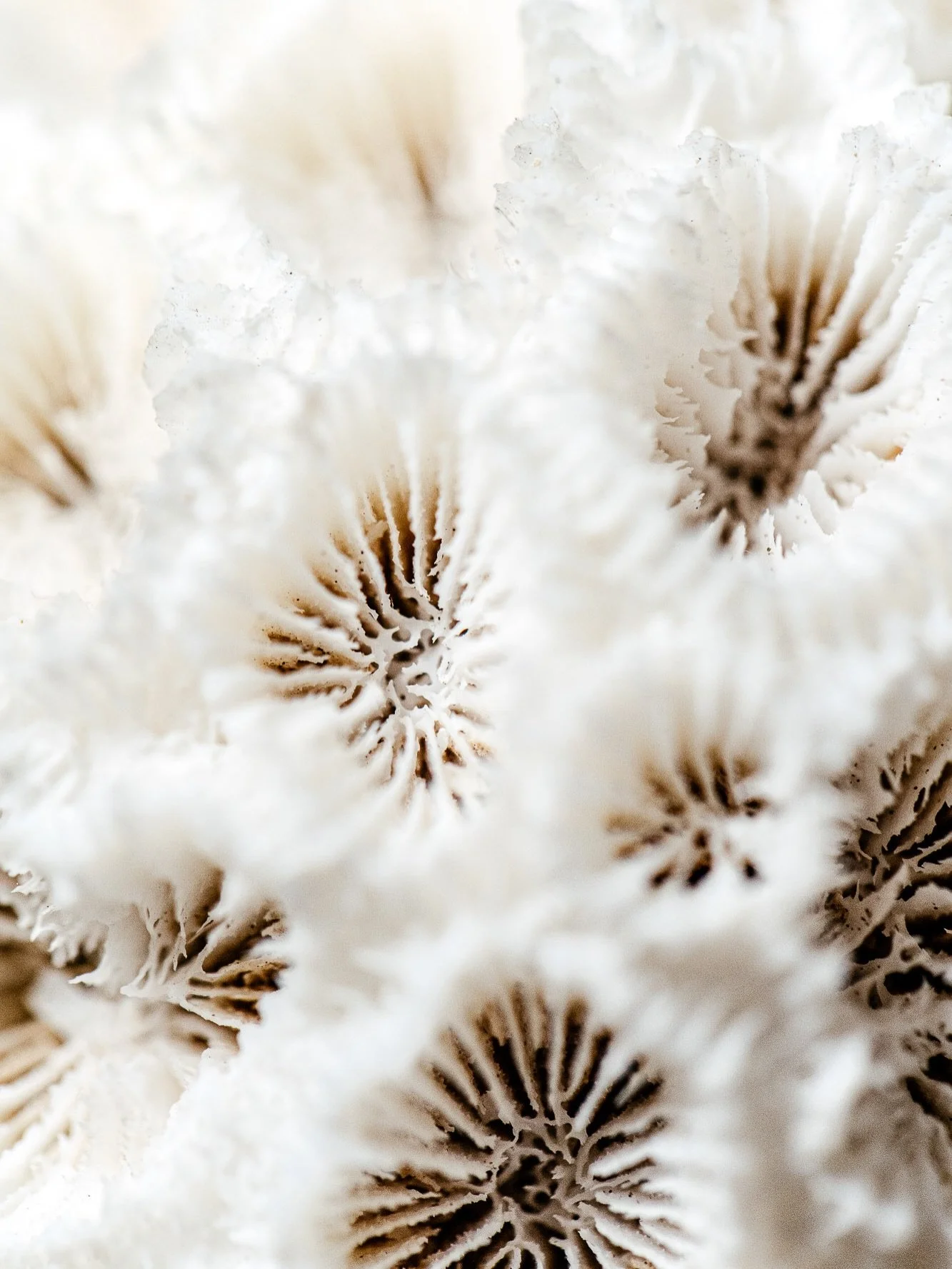 2026 &hellip; 

Une nouvelle ann&eacute;e s&rsquo;ouvre&hellip; &agrave; l&rsquo;image des petites pierres brutes que je ramasse &agrave; Minas Gereis au Br&eacute;sil, pleine de promesses, de nuances et de possibles.

J&rsquo;aime croire que chaque 