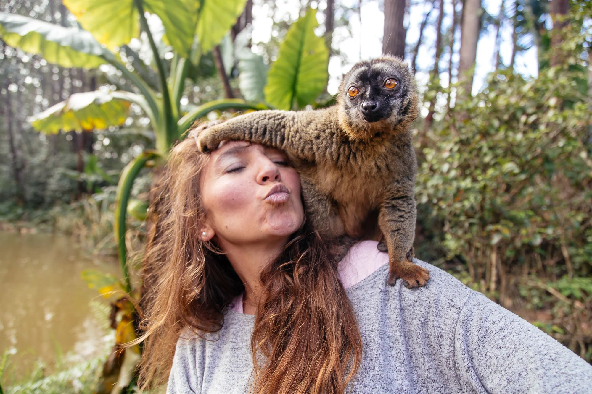 Les Richesses Malgaches