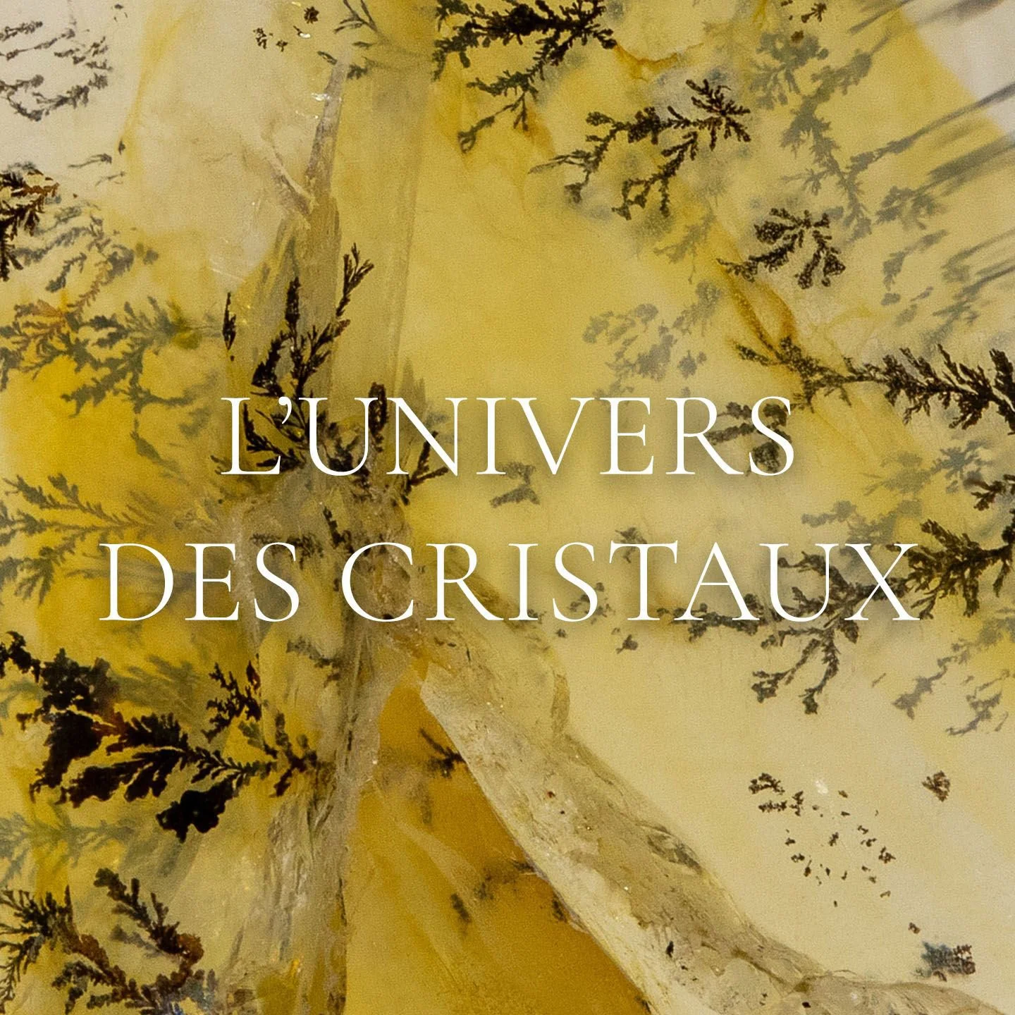 L'UNIVERS DES CRISTAUX sur 2 jours (acompte)