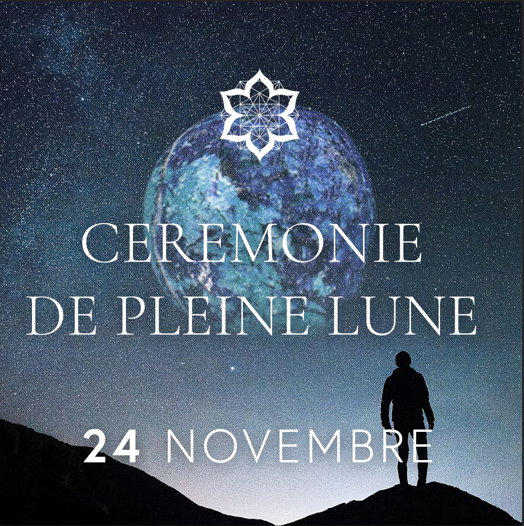 24 NOV.png