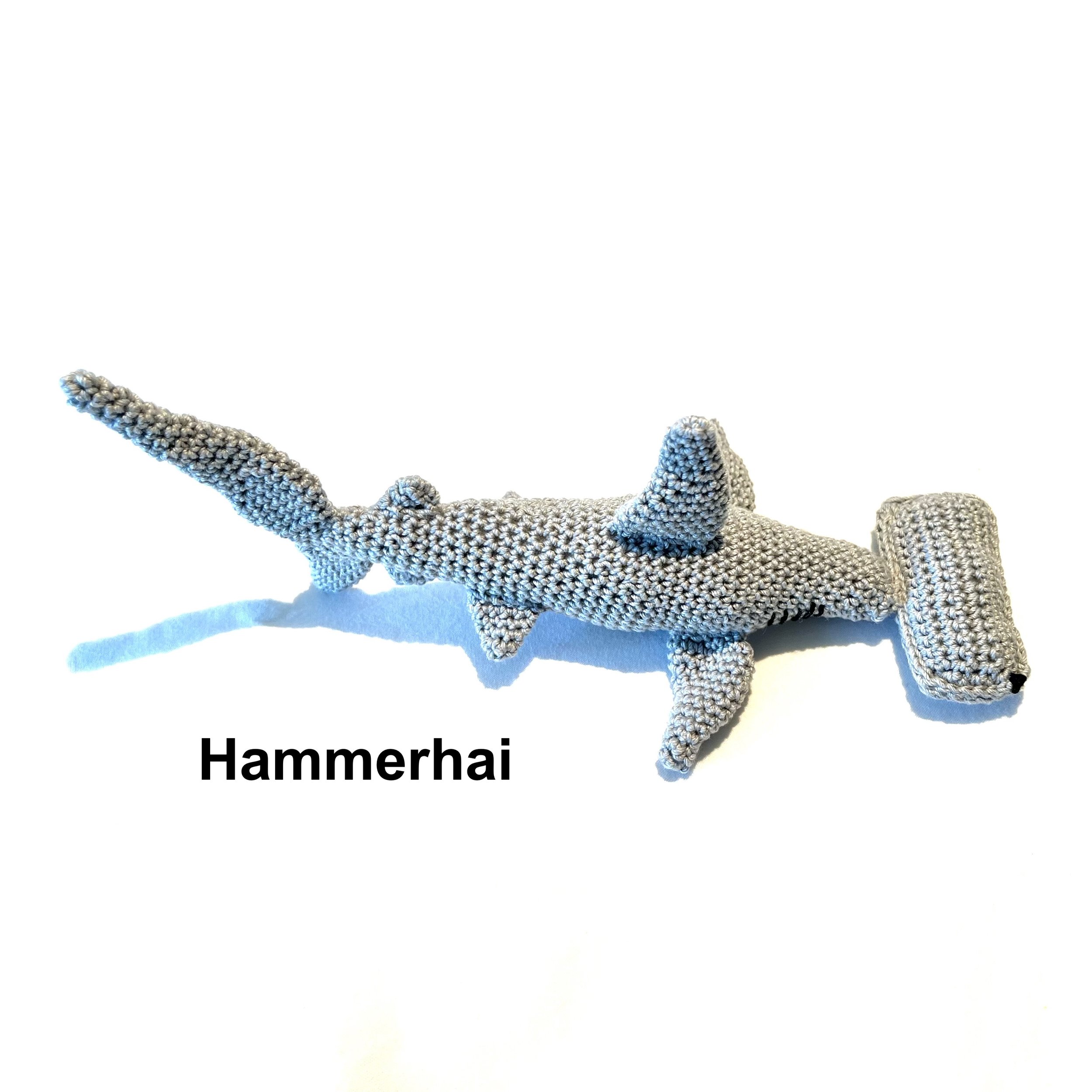 Hammerhai1 Kopie.jpeg