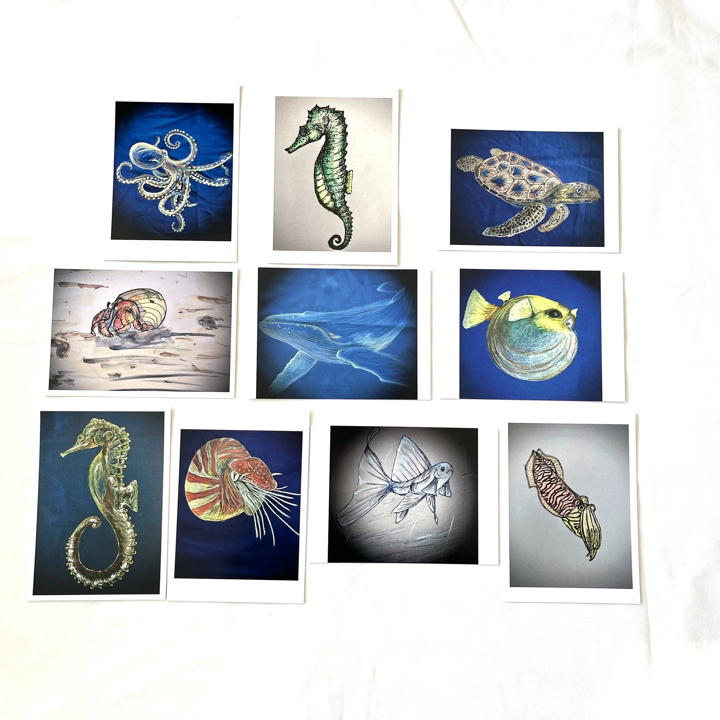 Karten – Meerestier-Set