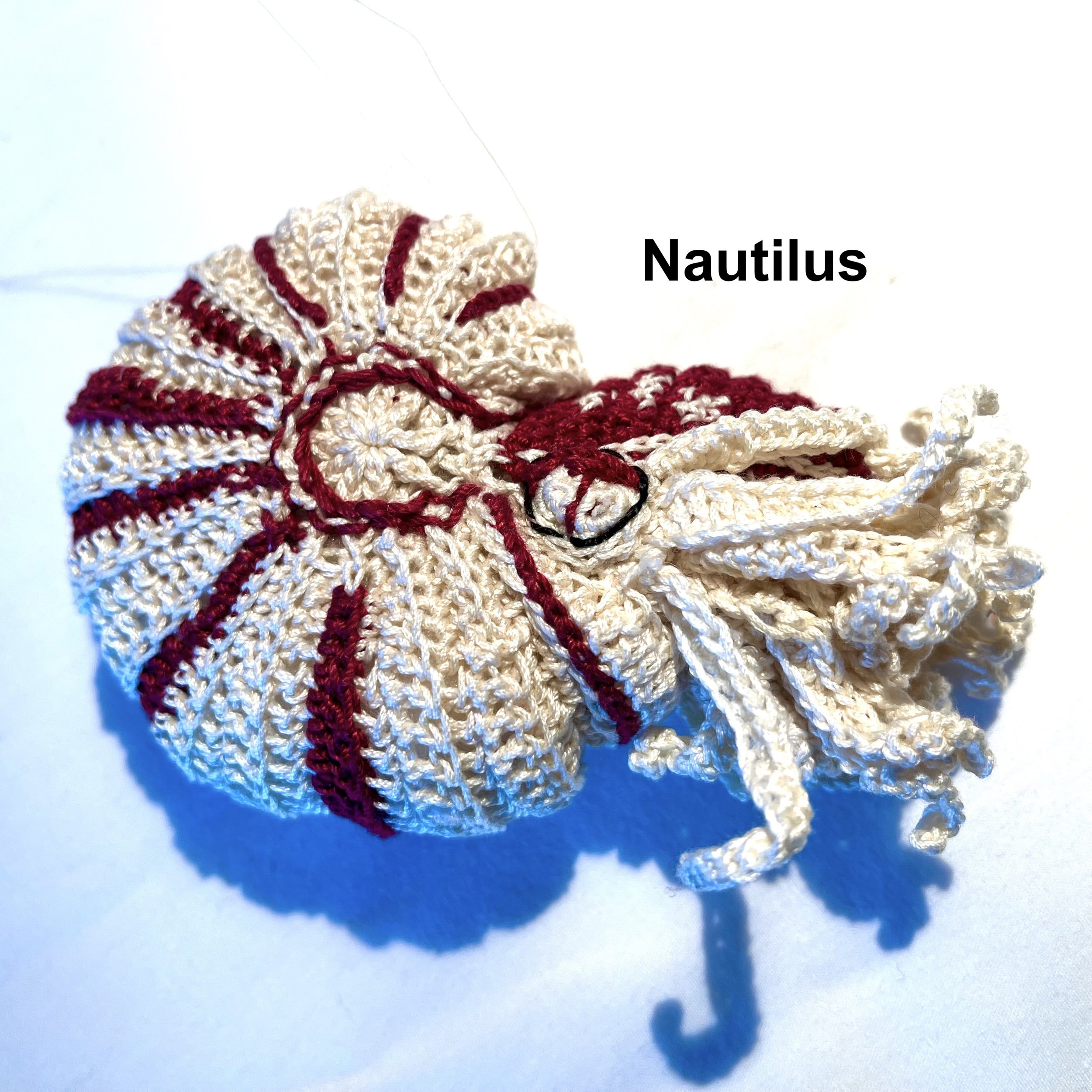 Nautilus4 Kopie.jpeg