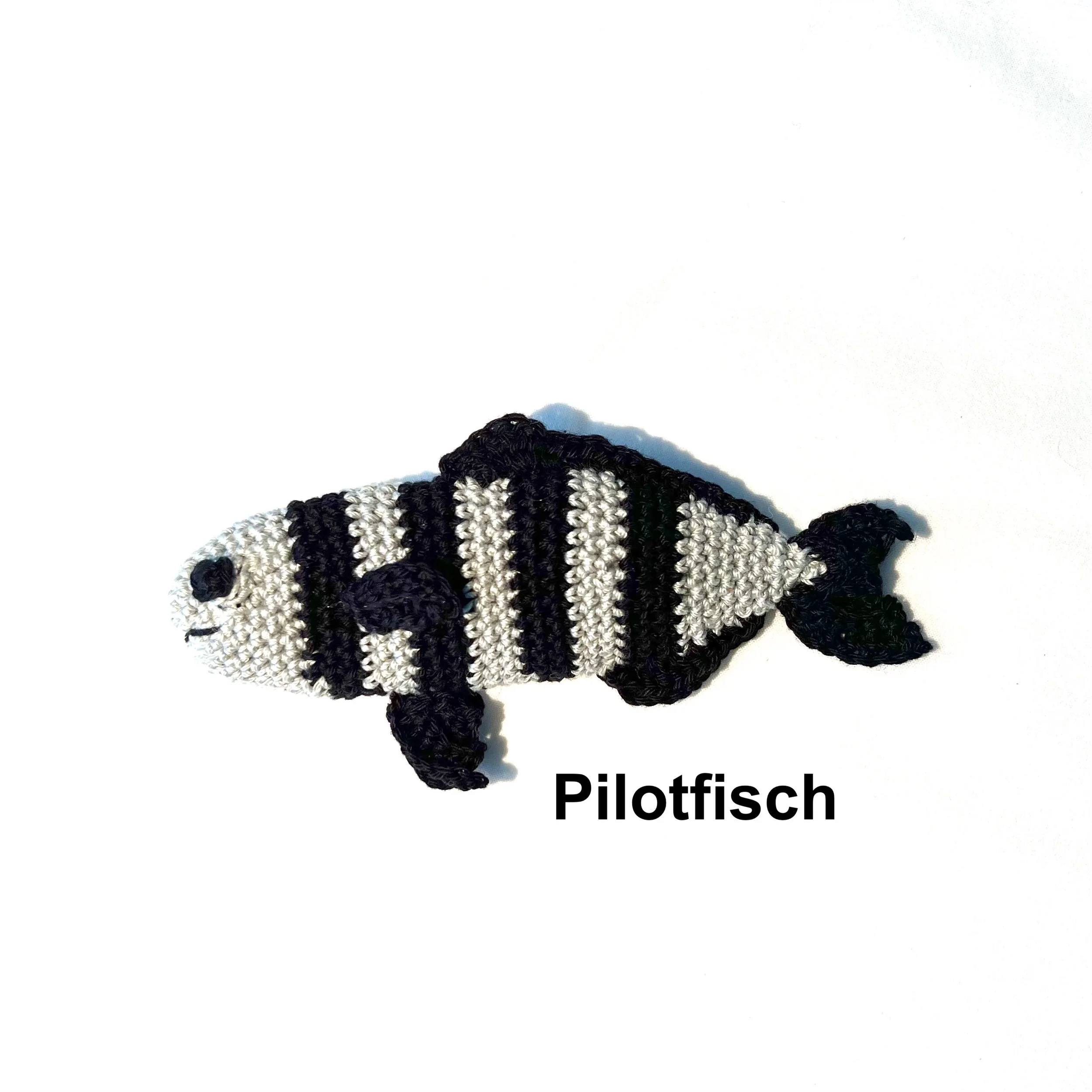 Pilotfisch3.jpeg