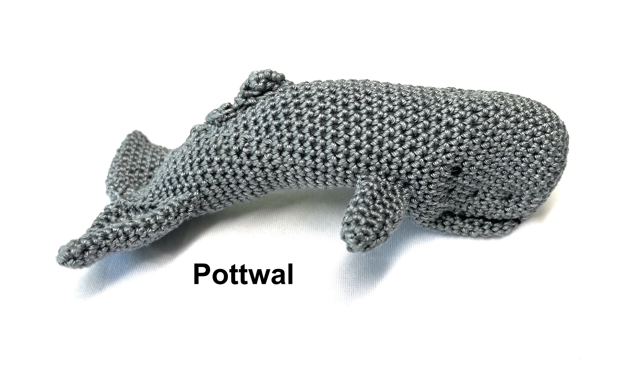 Pottwal3 Kopie.jpeg