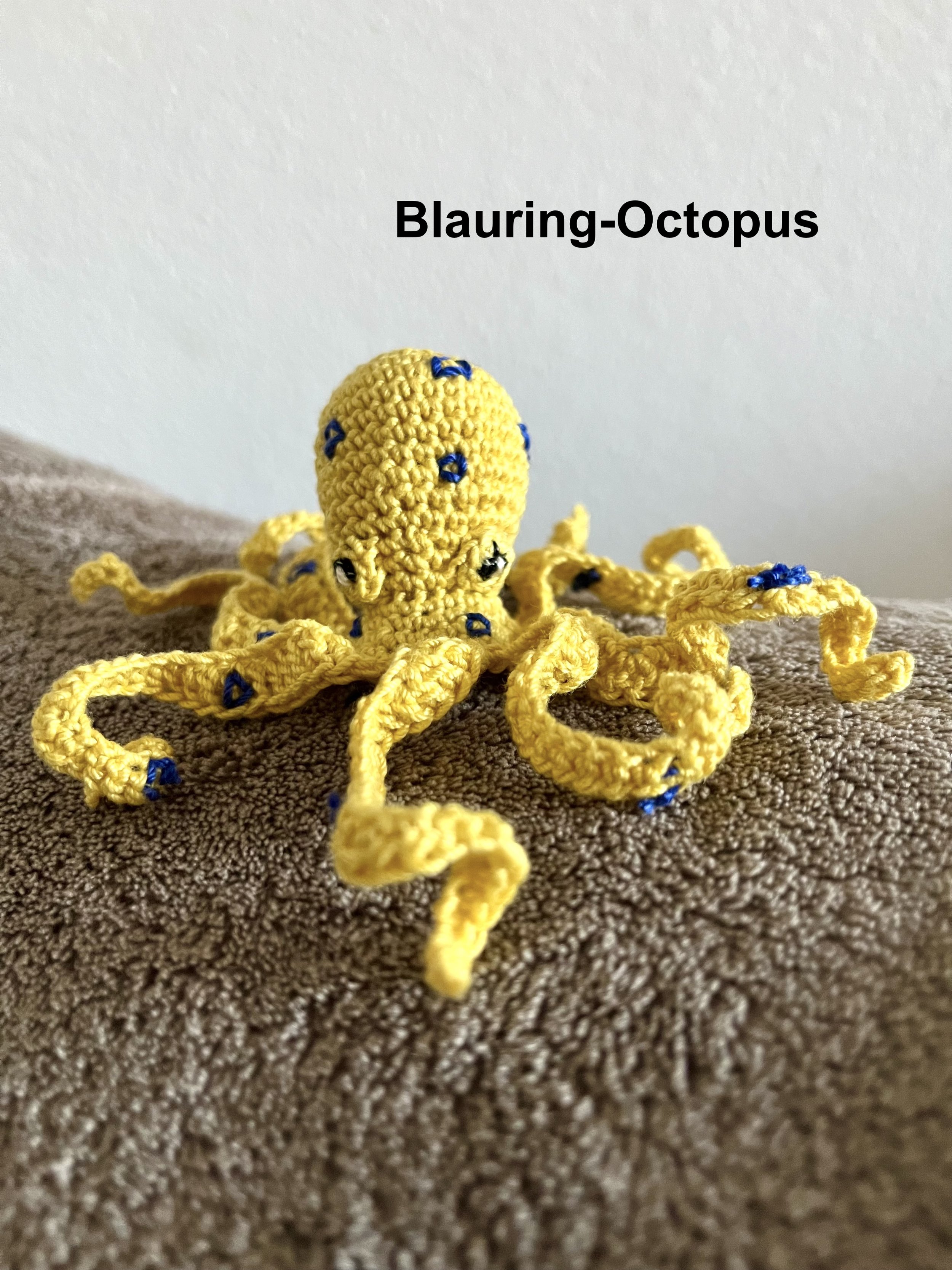 Blauring-Octopus Kopie.jpeg