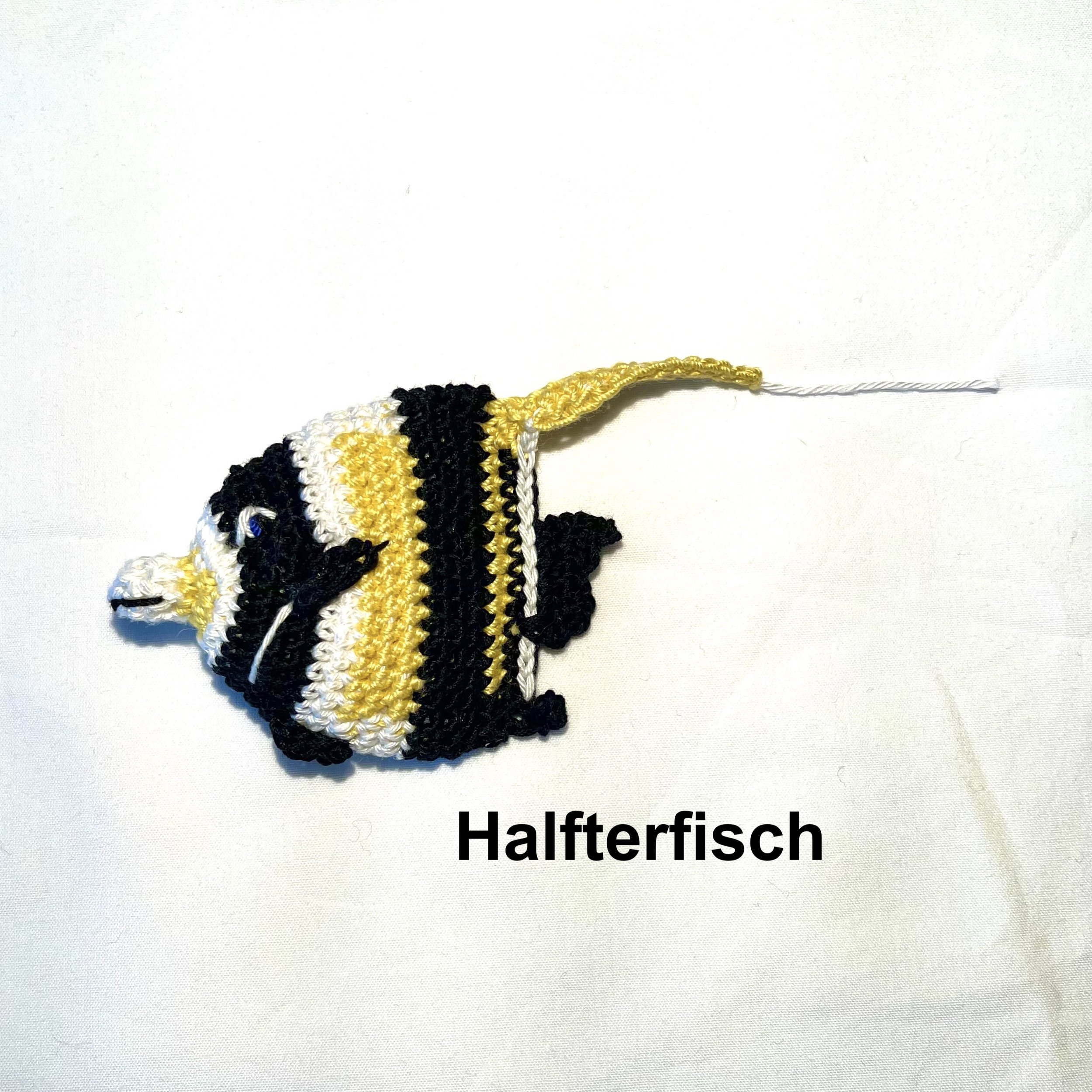 Halfterfisch1 Kopie.jpeg
