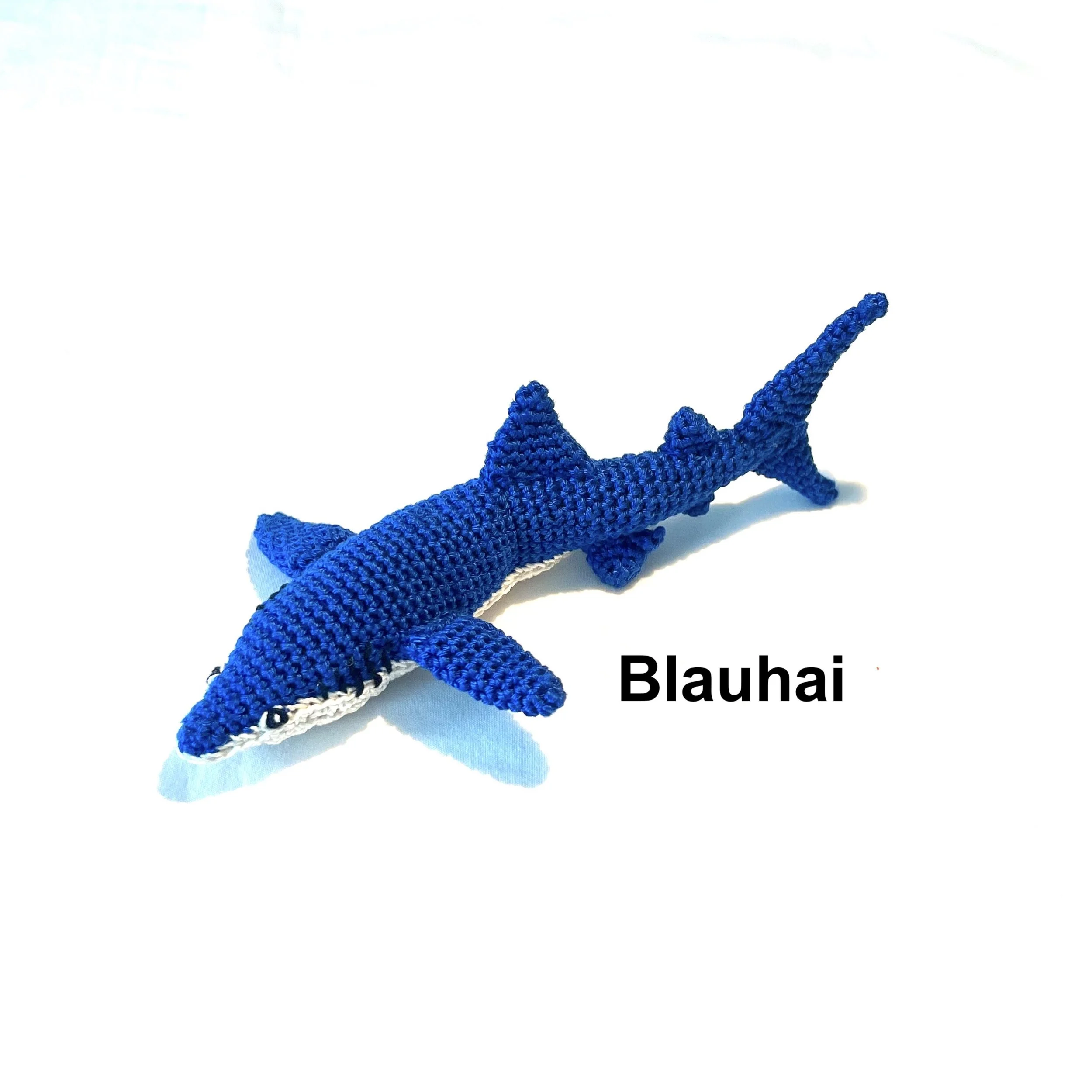 Blauhai1 Kopie.jpeg