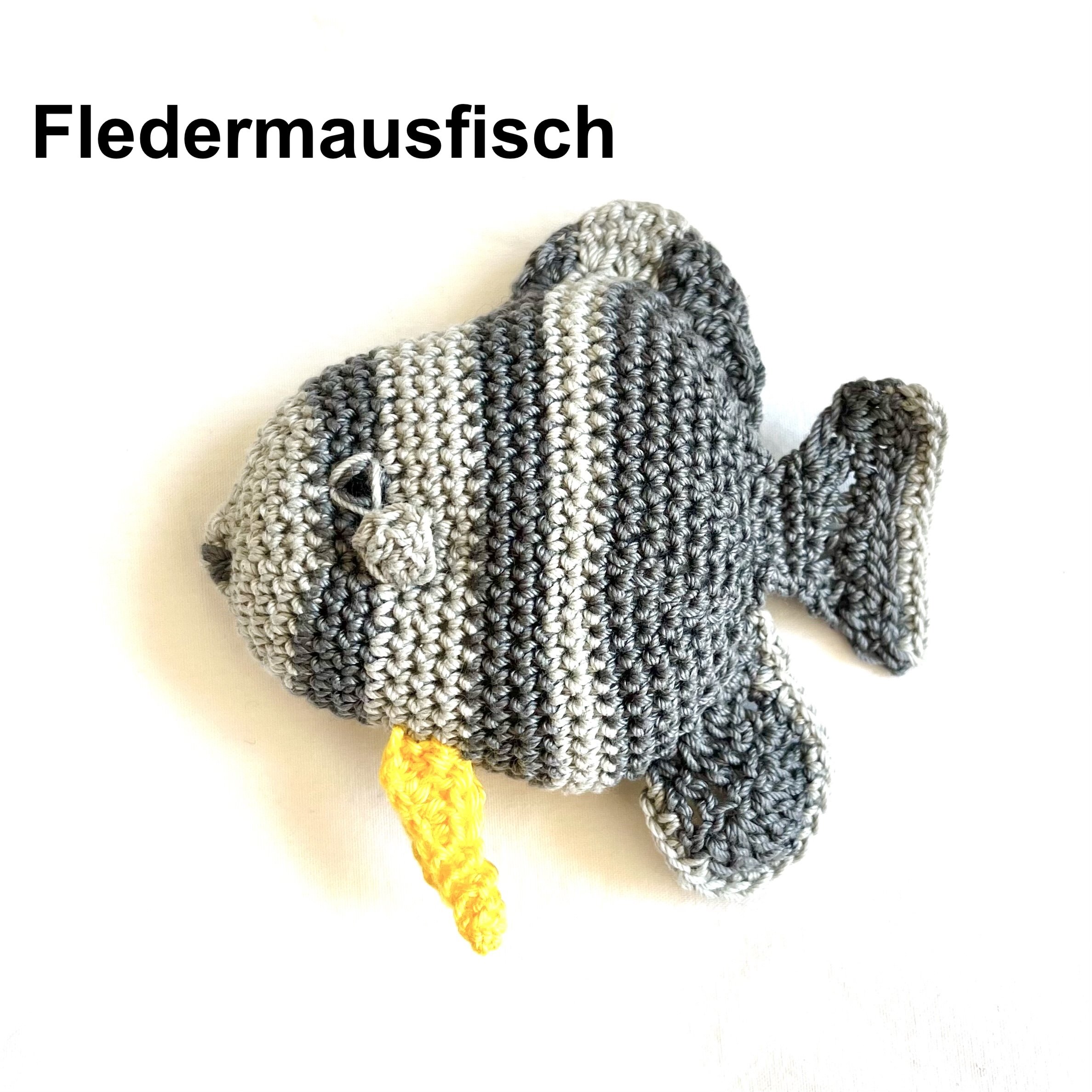 Fledermausfisch Kopie.jpeg