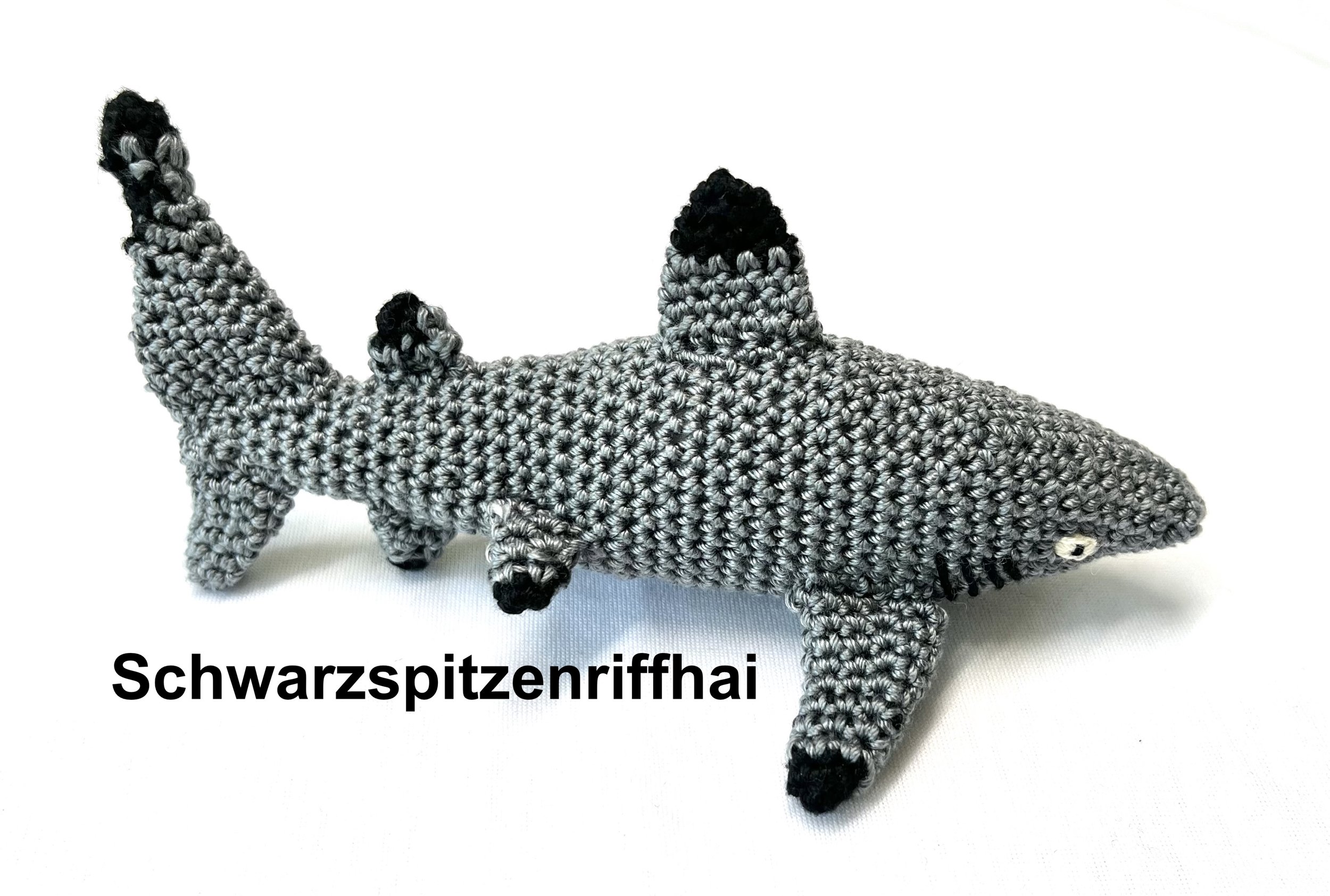 Schwarzspitzenriffhai1 Kopie.jpeg