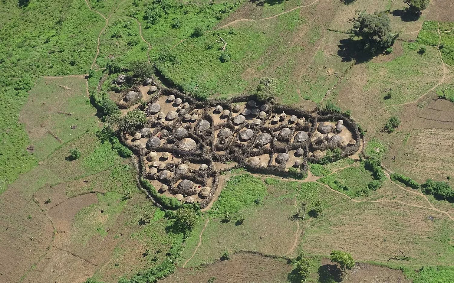 Community Voices — Northern Kenya Rangelands Carbon Project