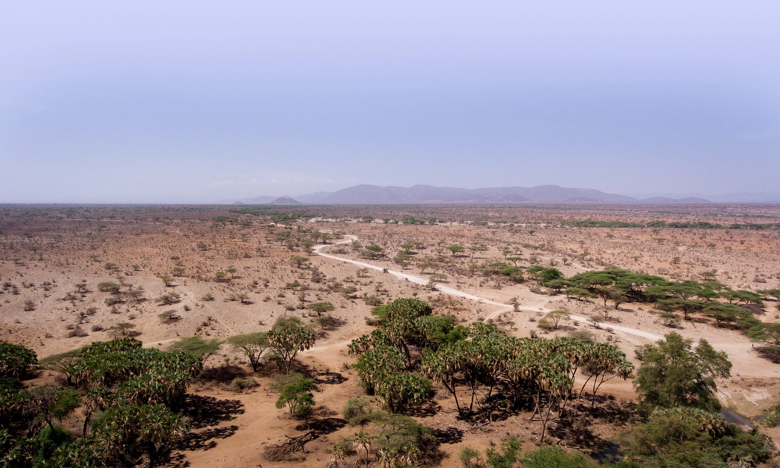 Northern Kenya Rangelands Carbon Project