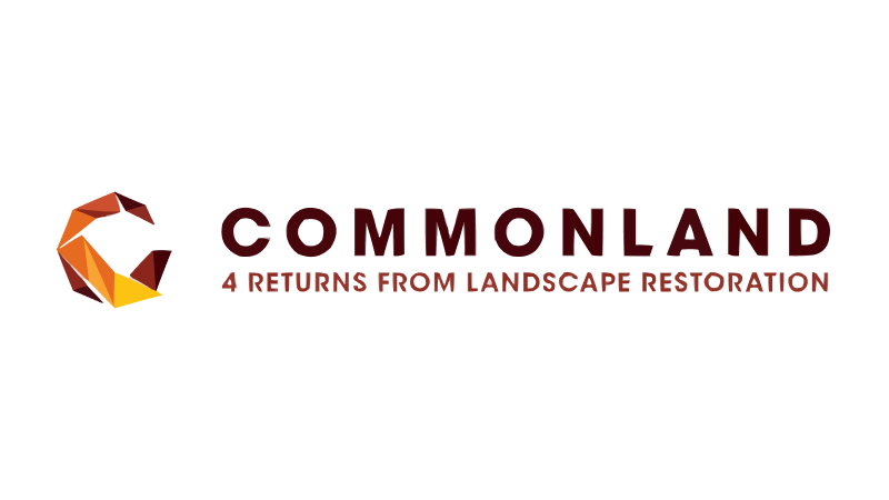 Logo van Commonland met de tekst '4 RETURNS FROM LANDSCAPE RESTORATION' en een geometrische krabbelaan-achtige afbeelding