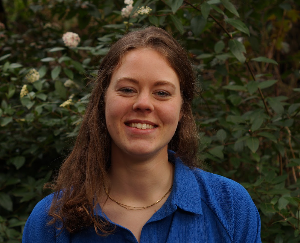 Een smal rivier of sloot die door een weelderige groene natuur meanders. Omgeven door hoge gras en bomen onder een bewolkte hemel.