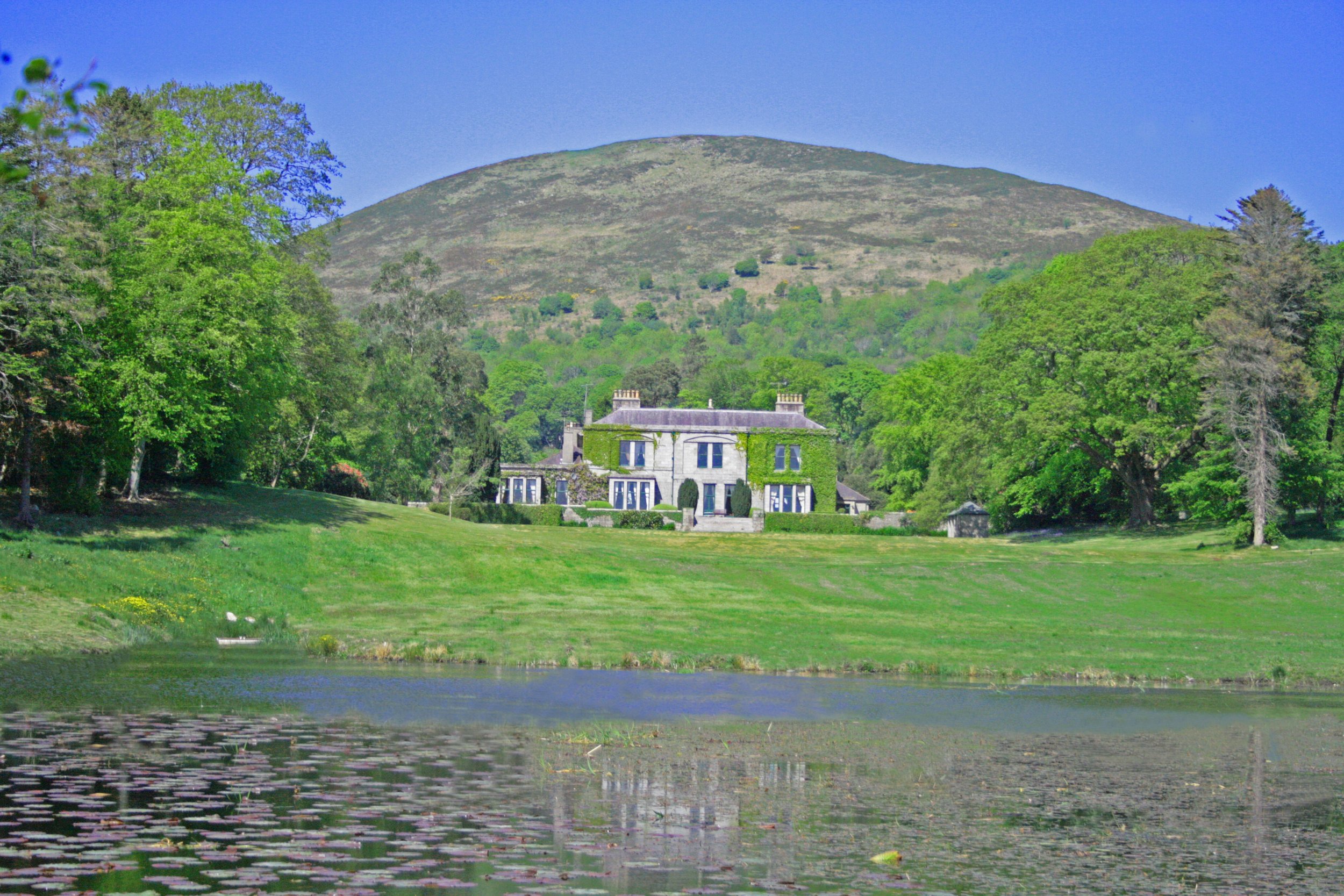 House in setting.JPG