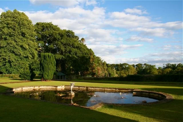 Ireland pond with shadows.jpg