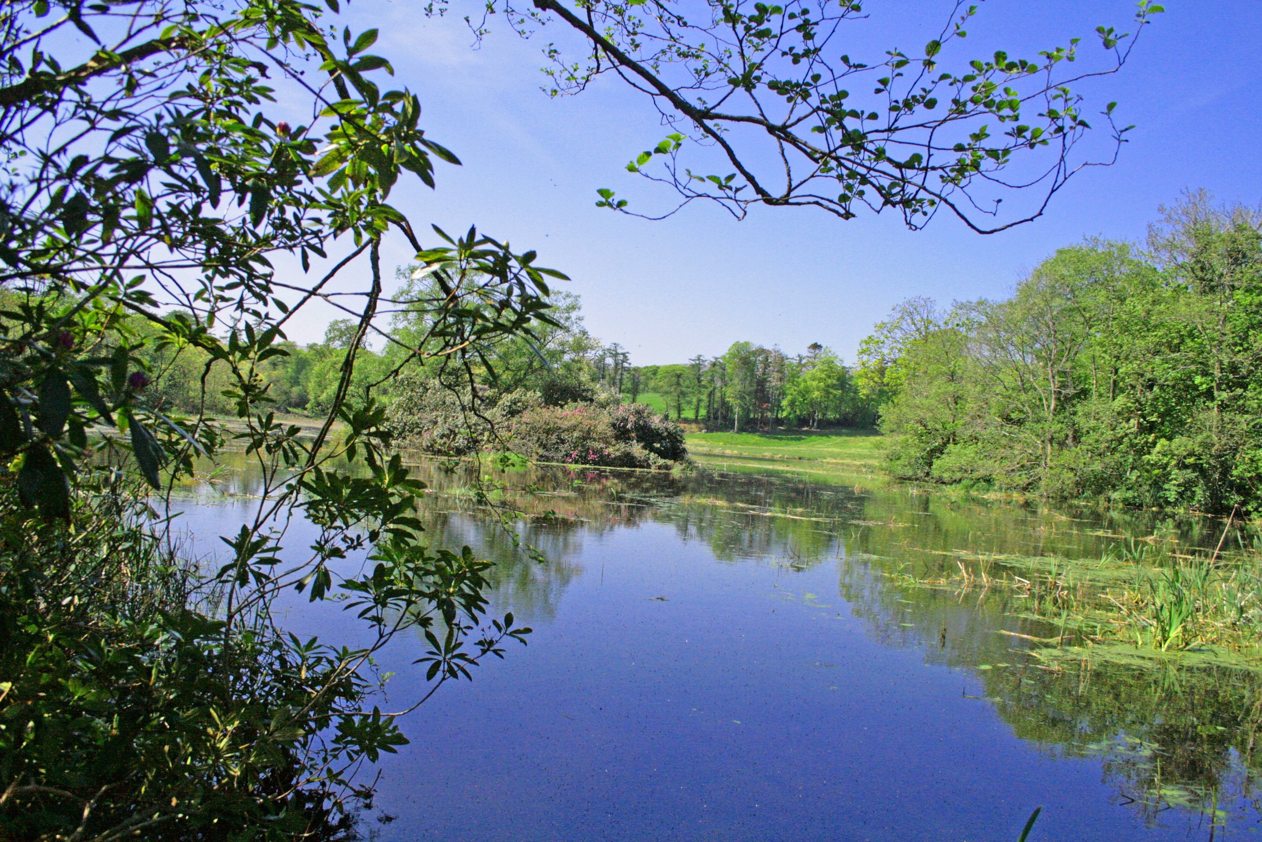 Modified May 08 008.JPG