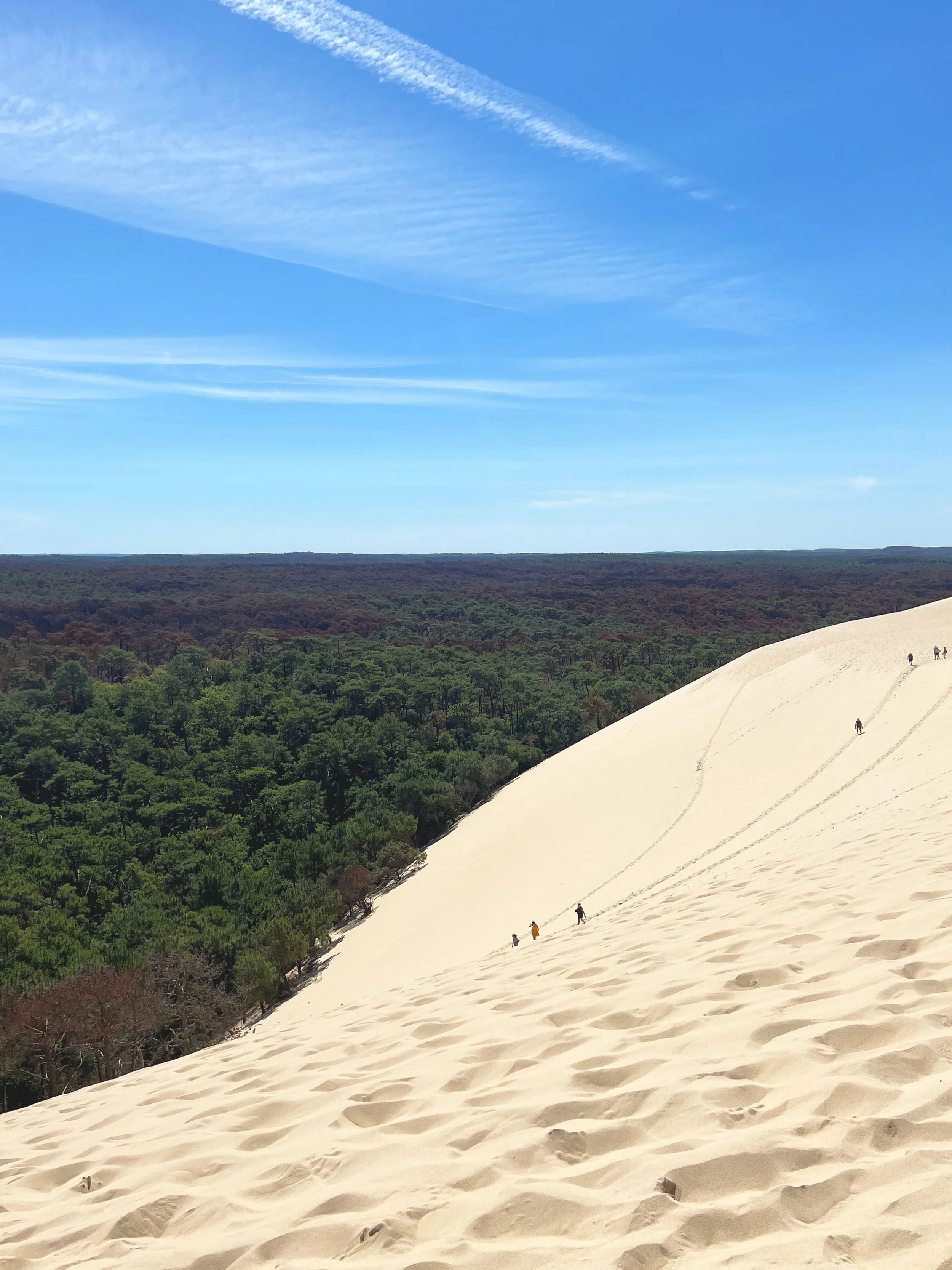 sand-dune.jpg