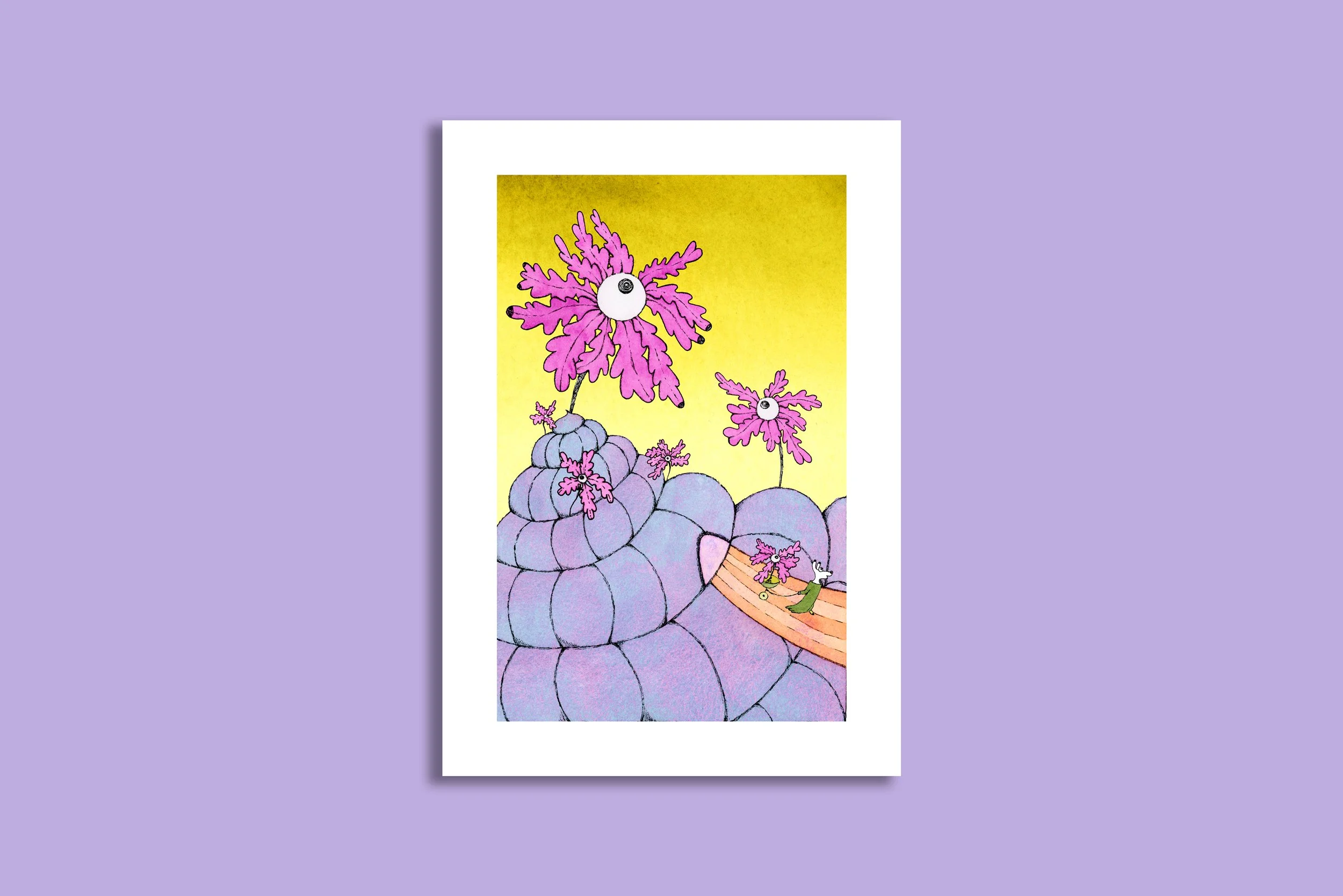 snail mountain s.jpg
