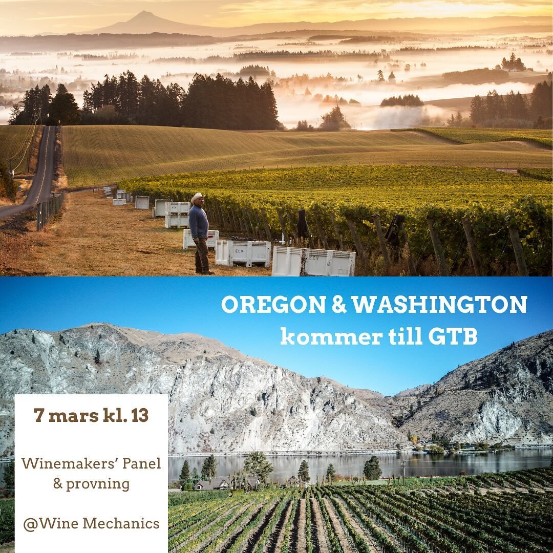 Sommelierer i G&ouml;teborg se hit. 🙋&zwj;♀️ Den 7 mars kl. 13 blir det 👉 Winemakers&rsquo; Panel och provning av ett 50tal Oregon och Washington State-viner hos @winemechanics i samarbete med ✨@oregonkenneth och @finewinessweden✨ 
P&aring; plats &