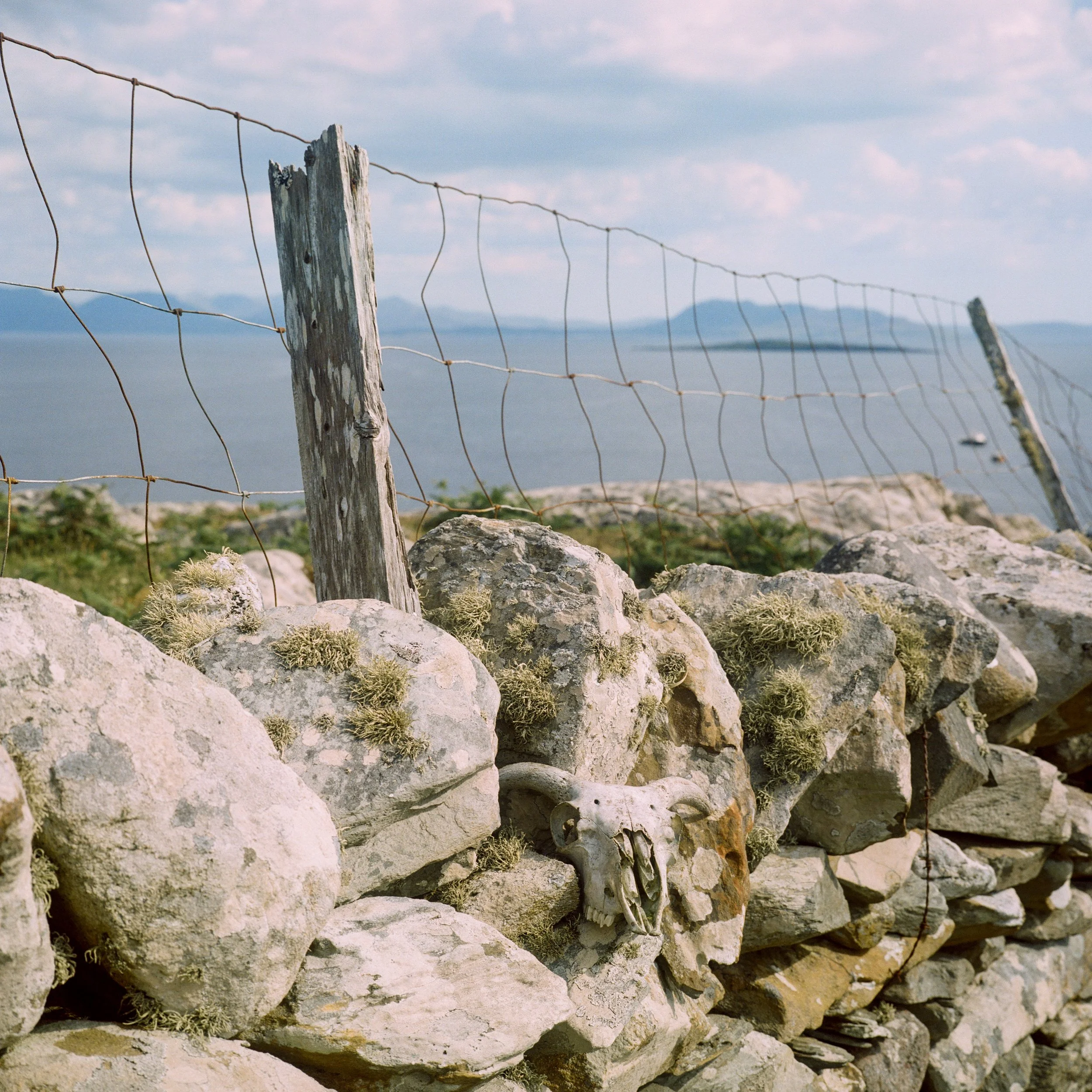 2023 06 05 - Mamiya 6 - Portra 400 Voyage west Inishturk (3).jpg