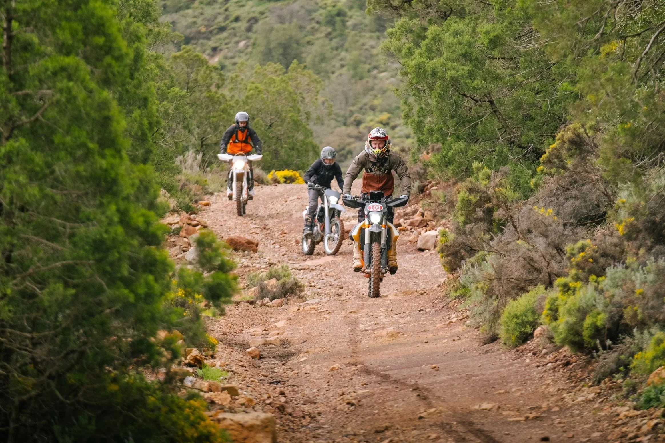 Motorbike Tours