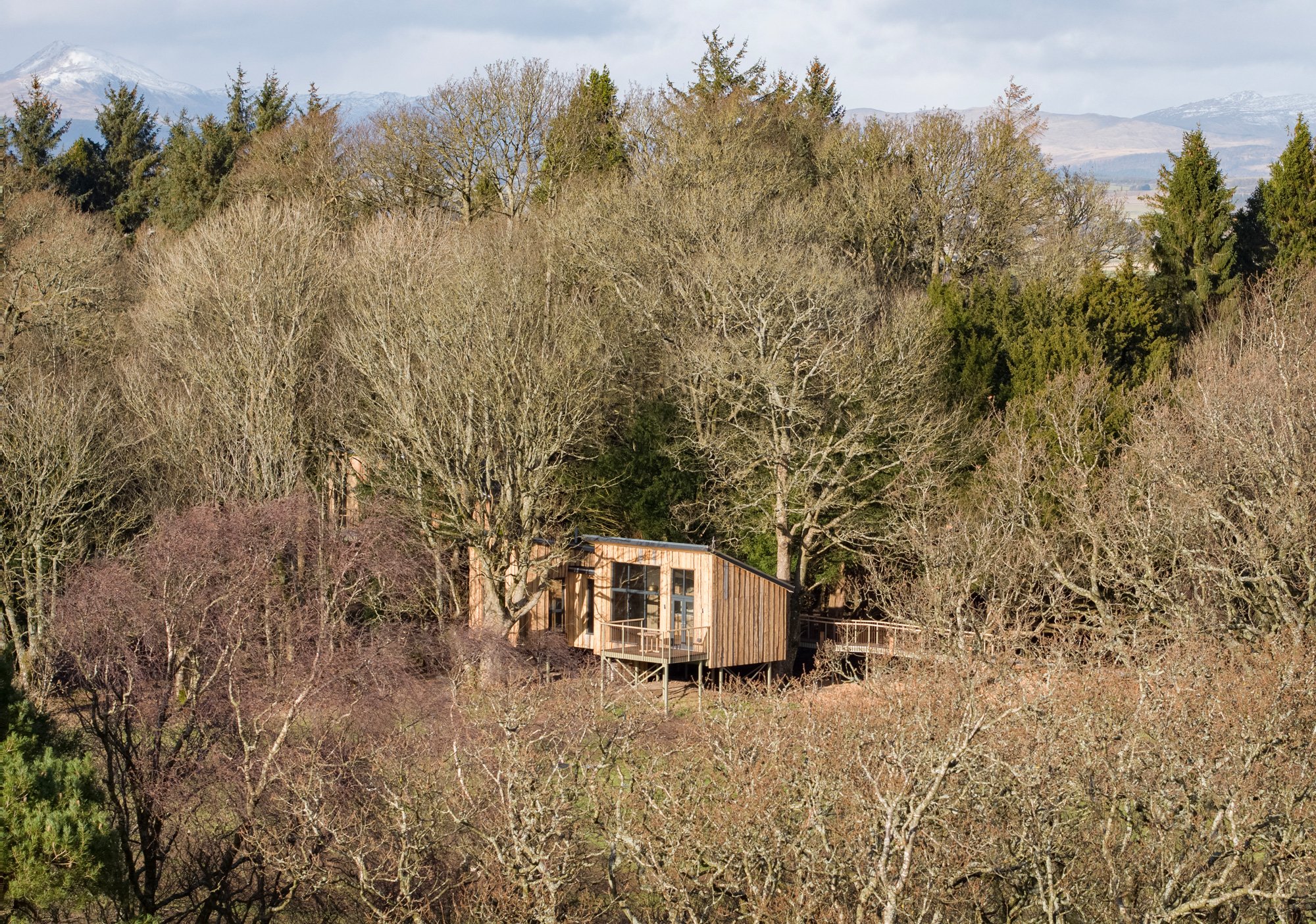 Chiffchaff-treehouses-scotland-2.jpg