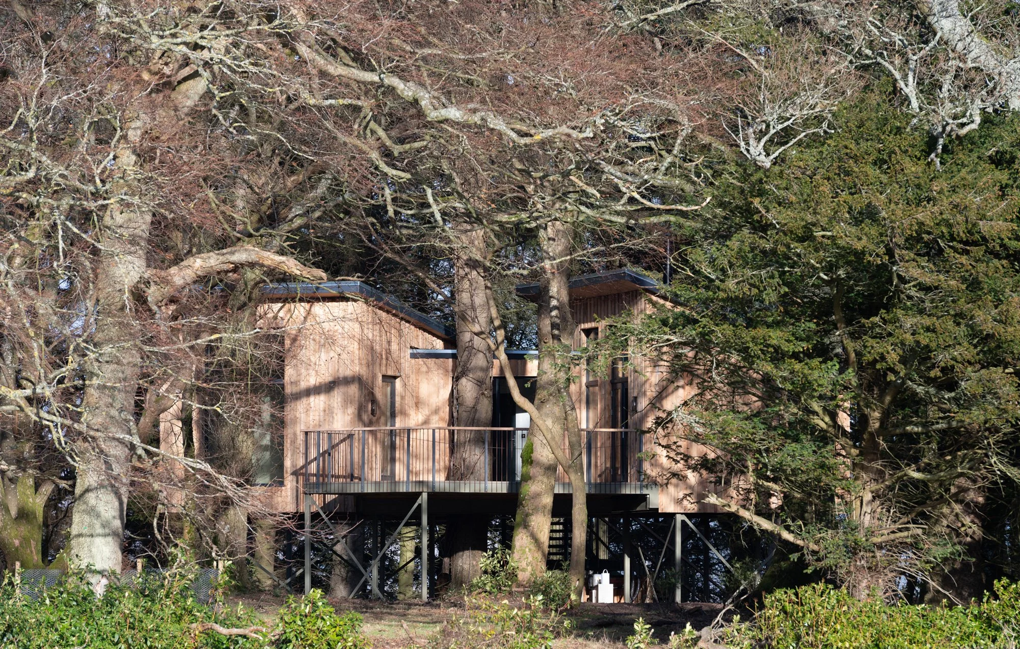 Goldfinch — Treehouses at Leckie