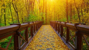 5 Reasons Wealth Transfers Fail - Aspire Wealth Group