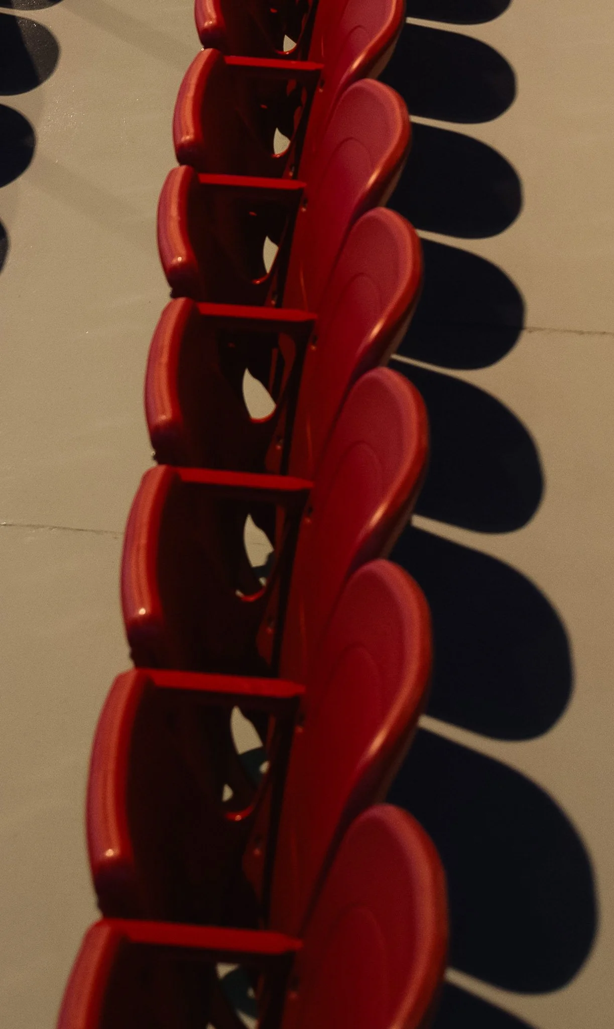 DSC00792.jpg