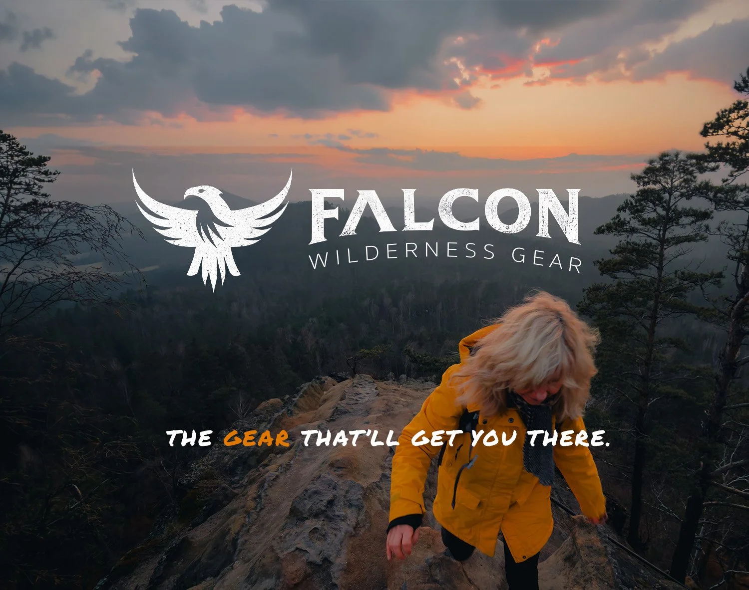 Falcon.jpg