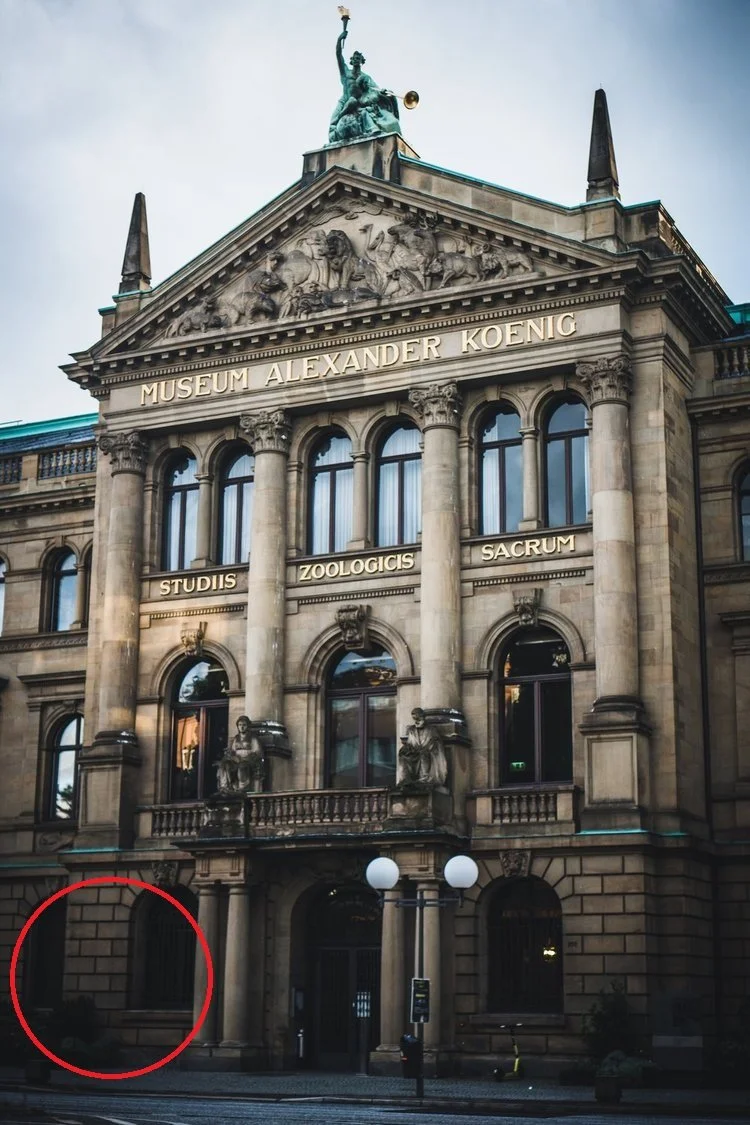 Im Museum König trifft sich der Parlamentarische Rat zur Eröffnungsfeier. Im Haus arbeitet Adenauer sogar als Bundeskanzler, obschon nur für 3 Monate. Hier treffen Sie außerdem Ihren Stadtführer. Bonn dient als Geburtsort der Verfassung für die BRD.