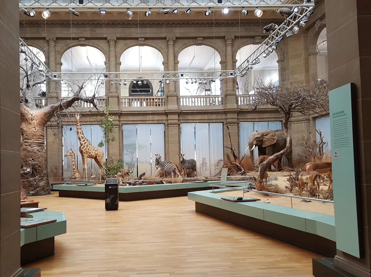 Zoologisches ForschungsMuseum Alexander Koenig — Rheinland Guide