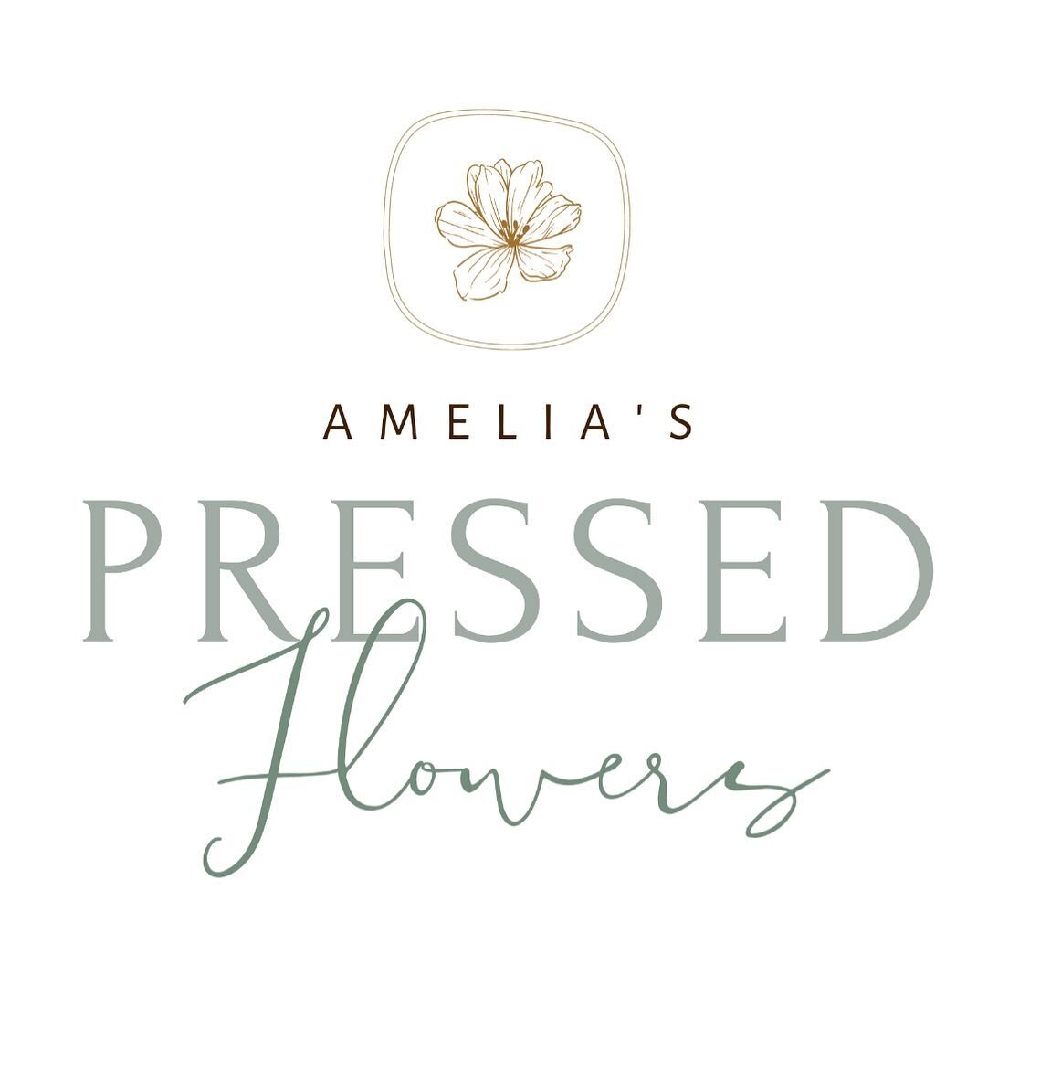 Amelia s Pressed Flowers Amelia s Pressed Flowers