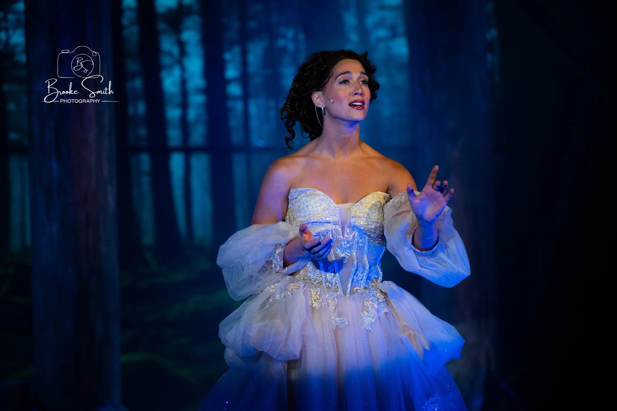 Cinderella in Into The Woods (Post Playhouse)