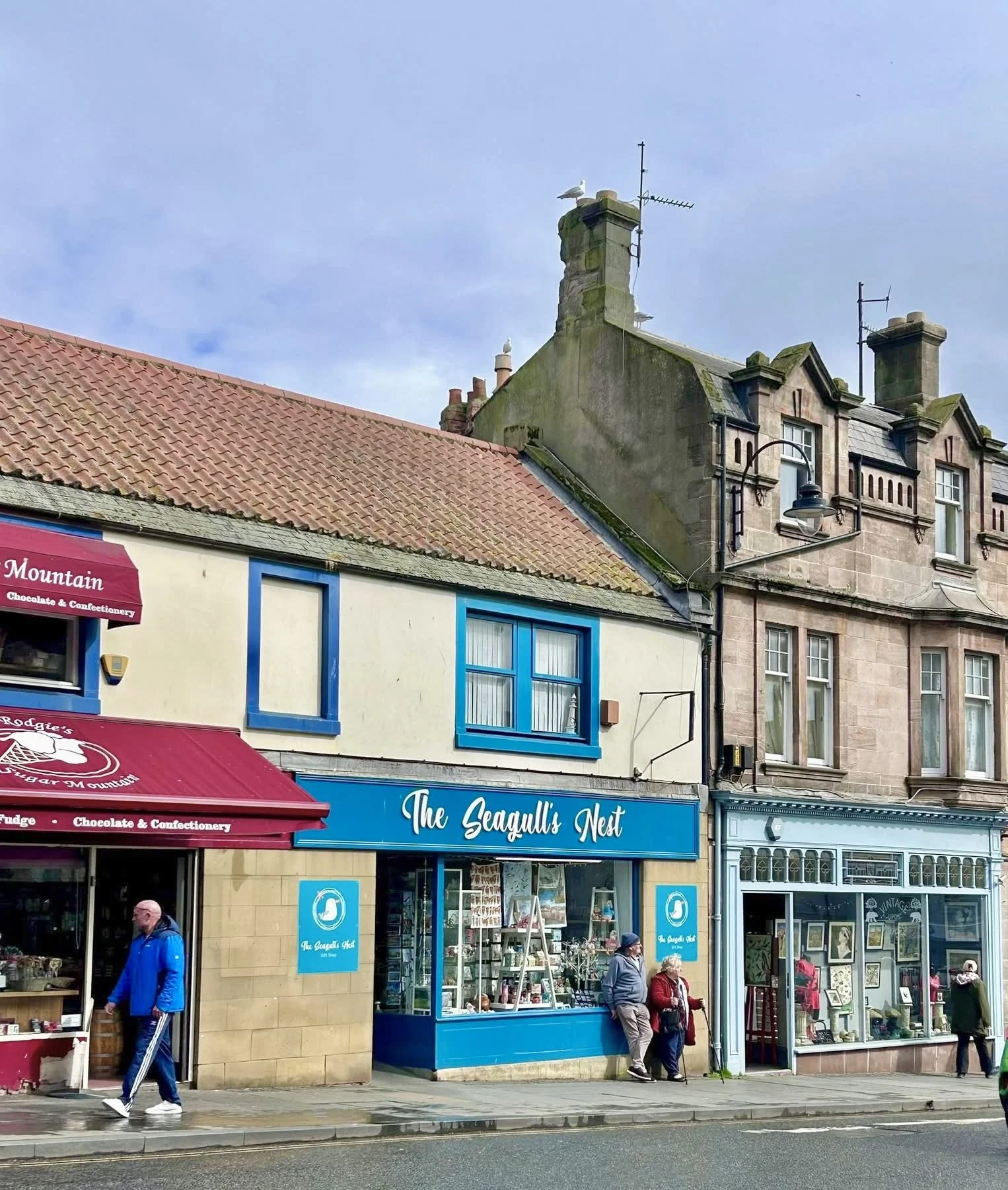 The Seagull’s Nest 