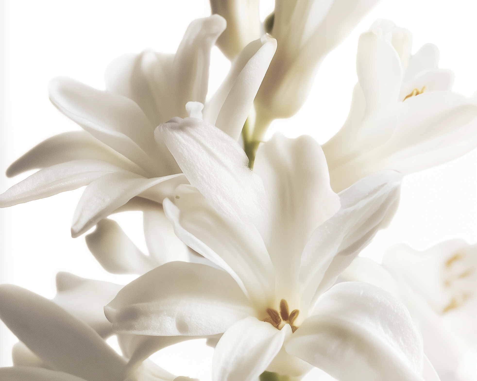 Capture d’écran 2026-04-16 à 09.53.57.png