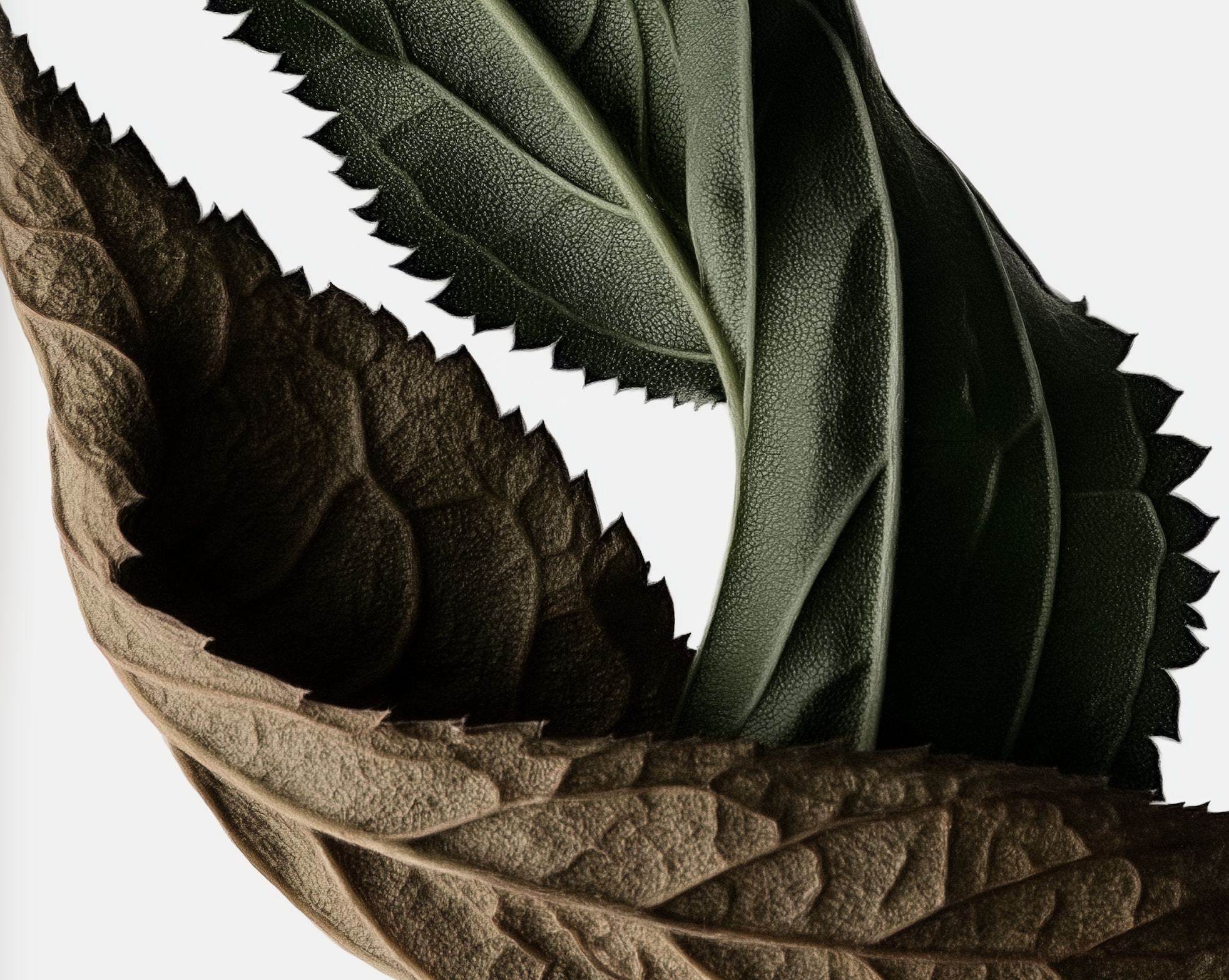 Capture d’écran 2026-04-16 à 10.01.02.png