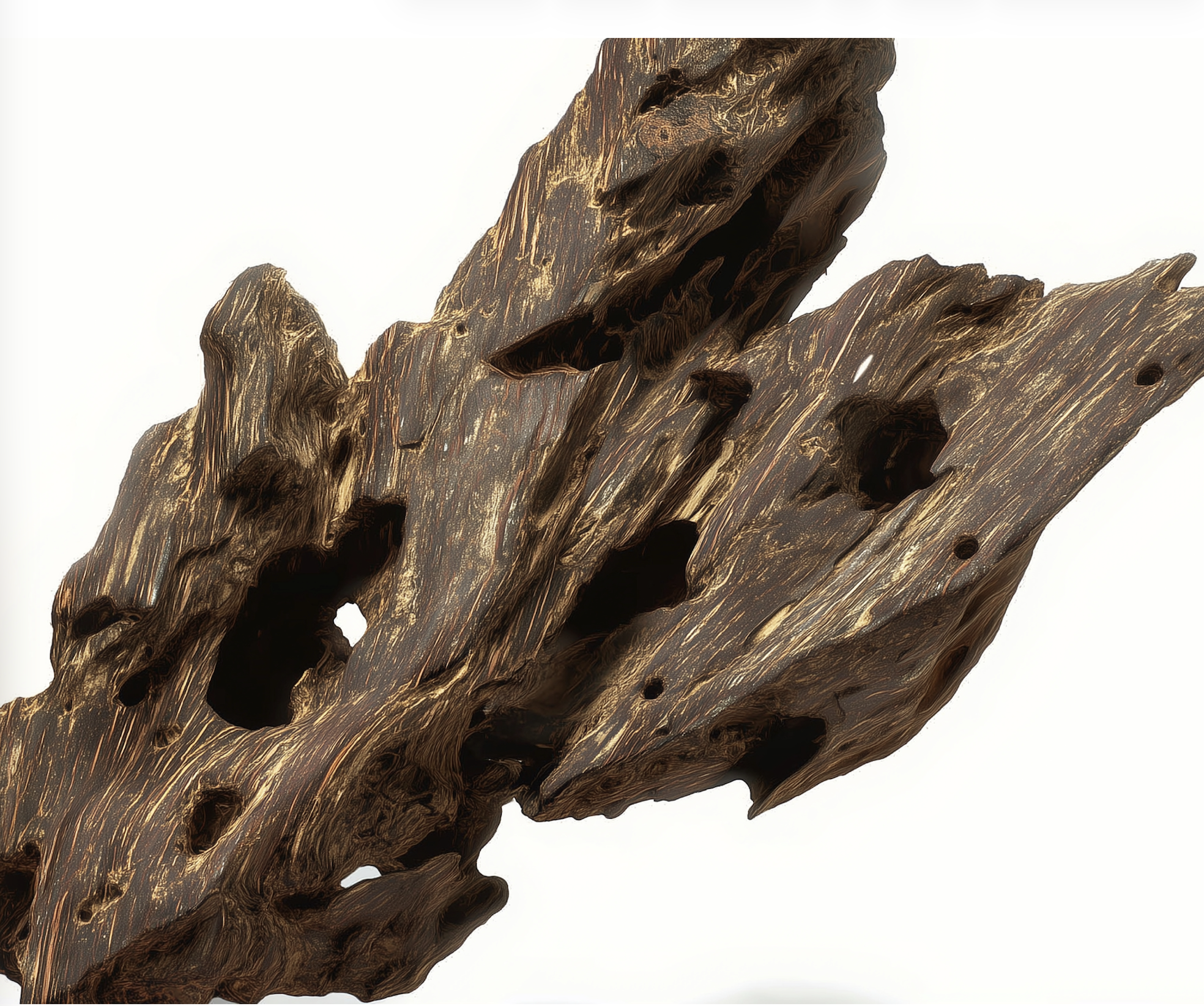 Capture d’écran 2026-04-16 à 10.00.54.png