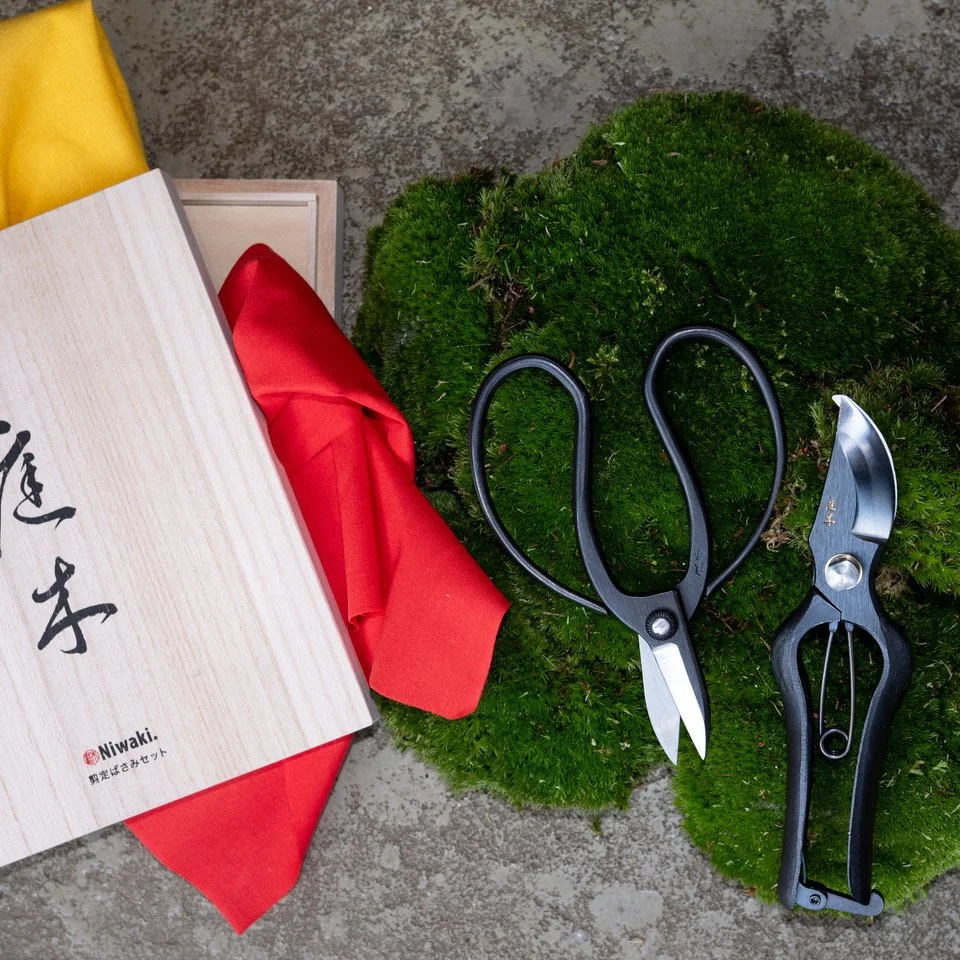 Sentei Set Cropped-1 copy.jpeg