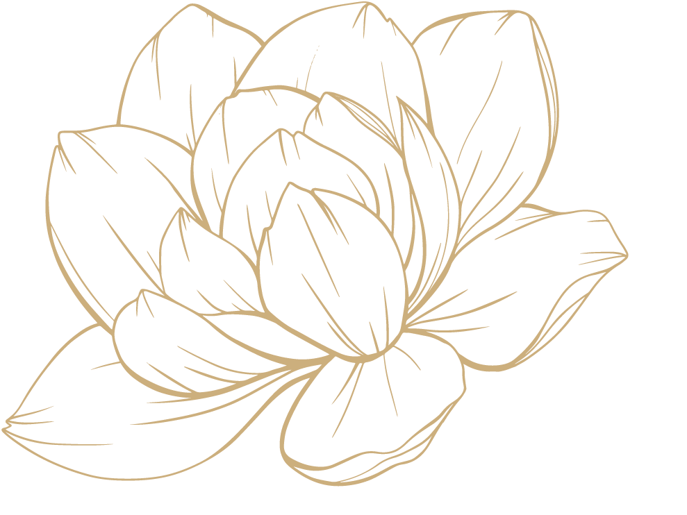 Line drawing of a flower, possibly a rose, with multiple petals outlined in beige against a black background.