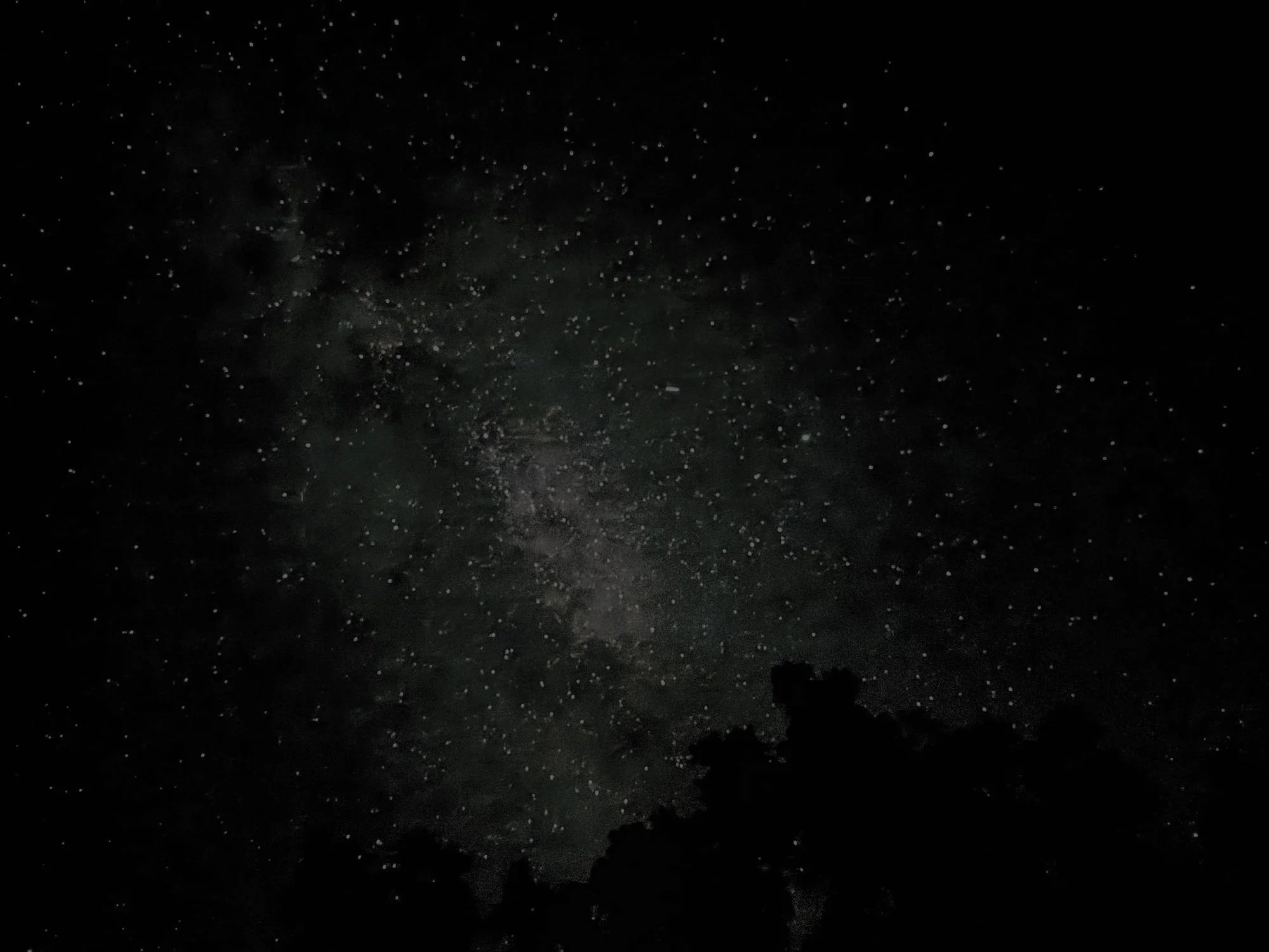 Your Year, Written in the Stars