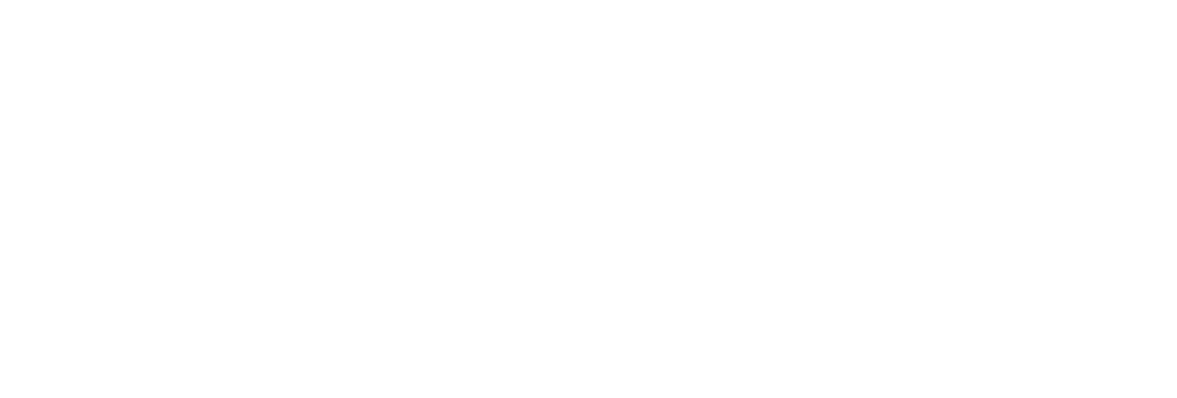 NELLY INC.