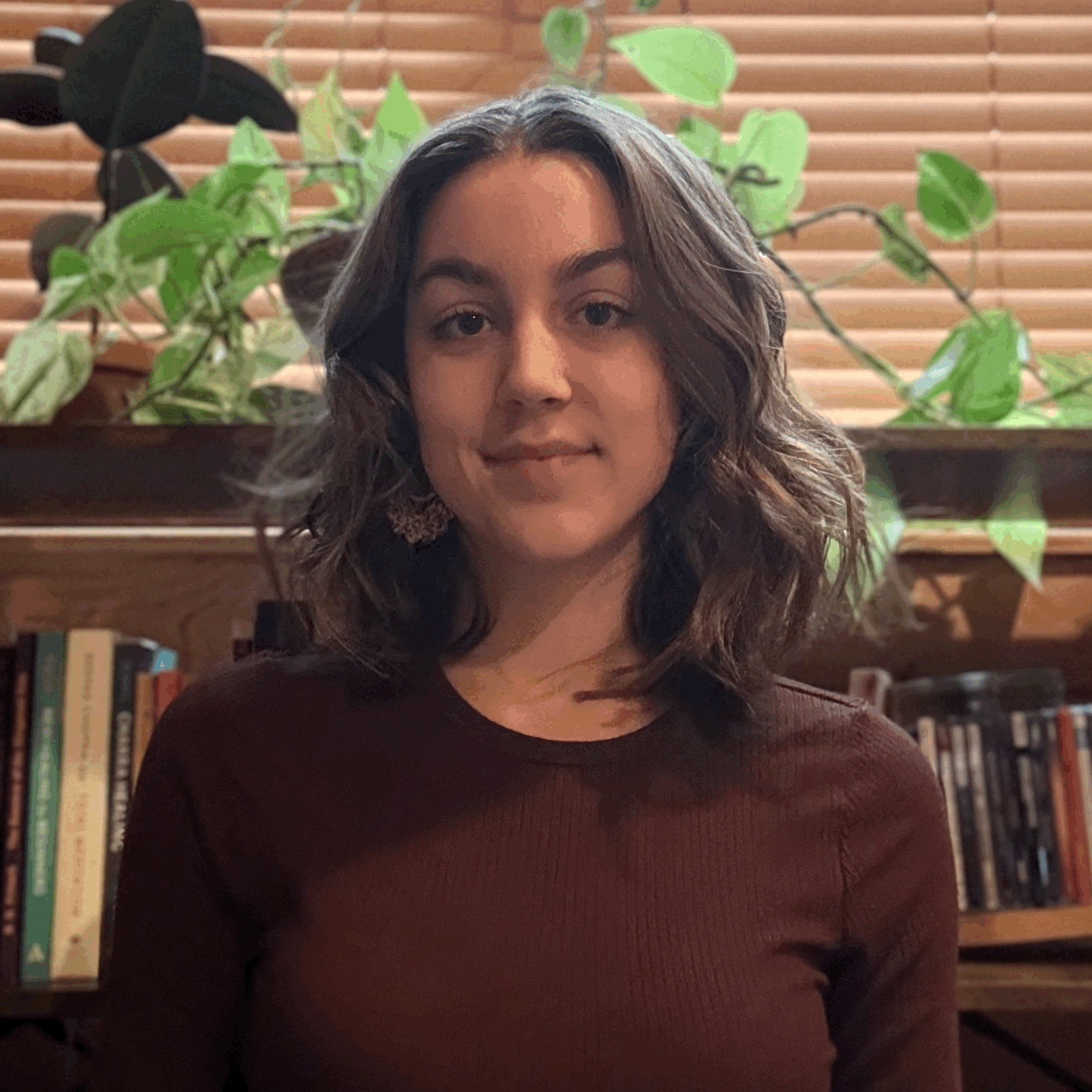 tempImagea6NJiU.gif (Copy)