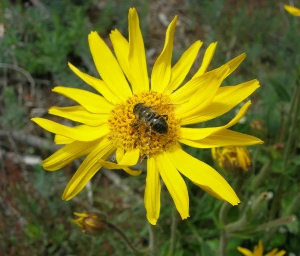 approche sensible (3).JPG