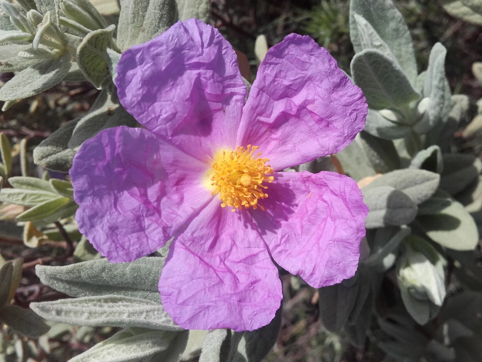 approche sensible (2).jpg